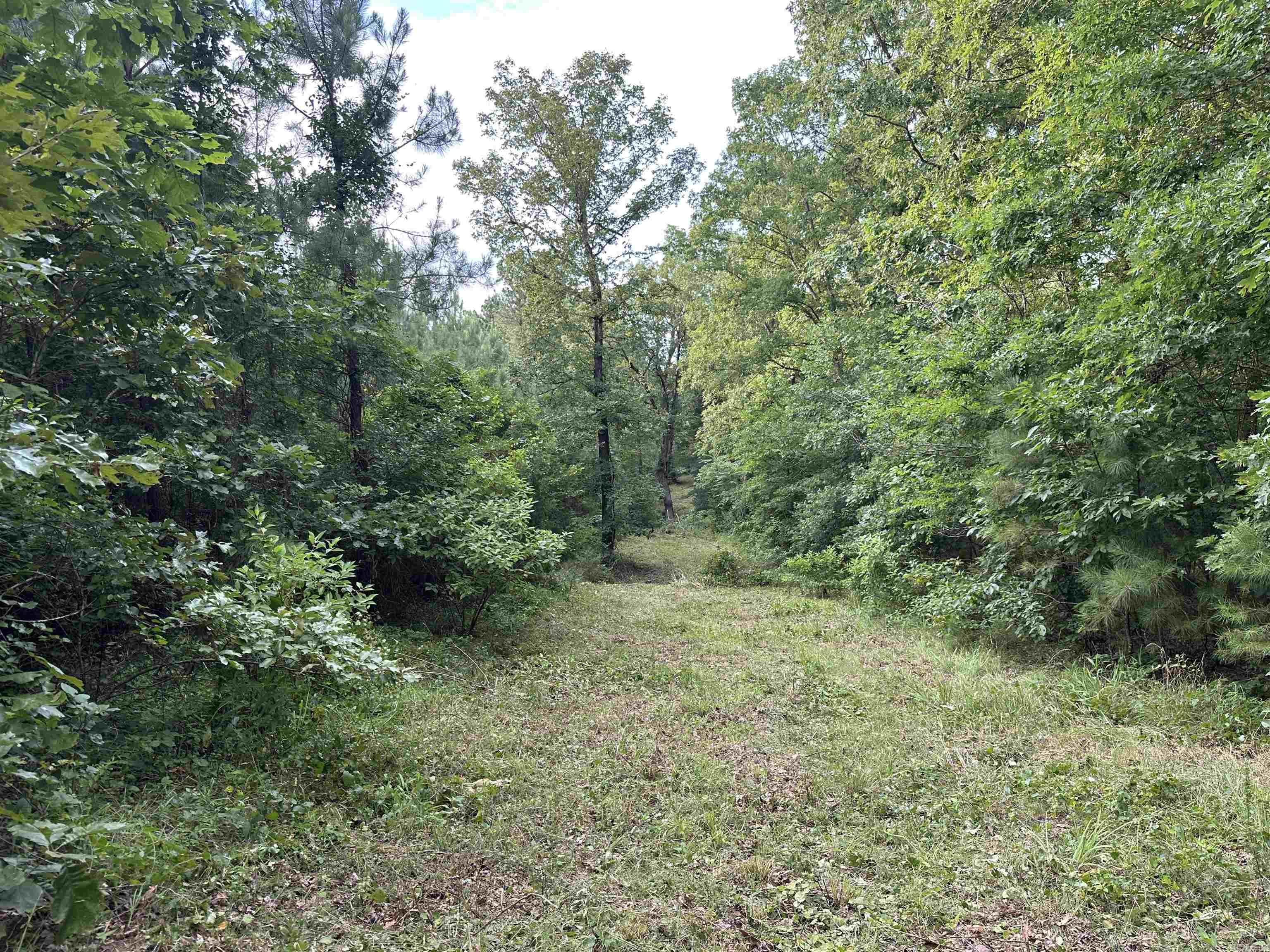 000 Carmichael Rd.  Searcy, AR