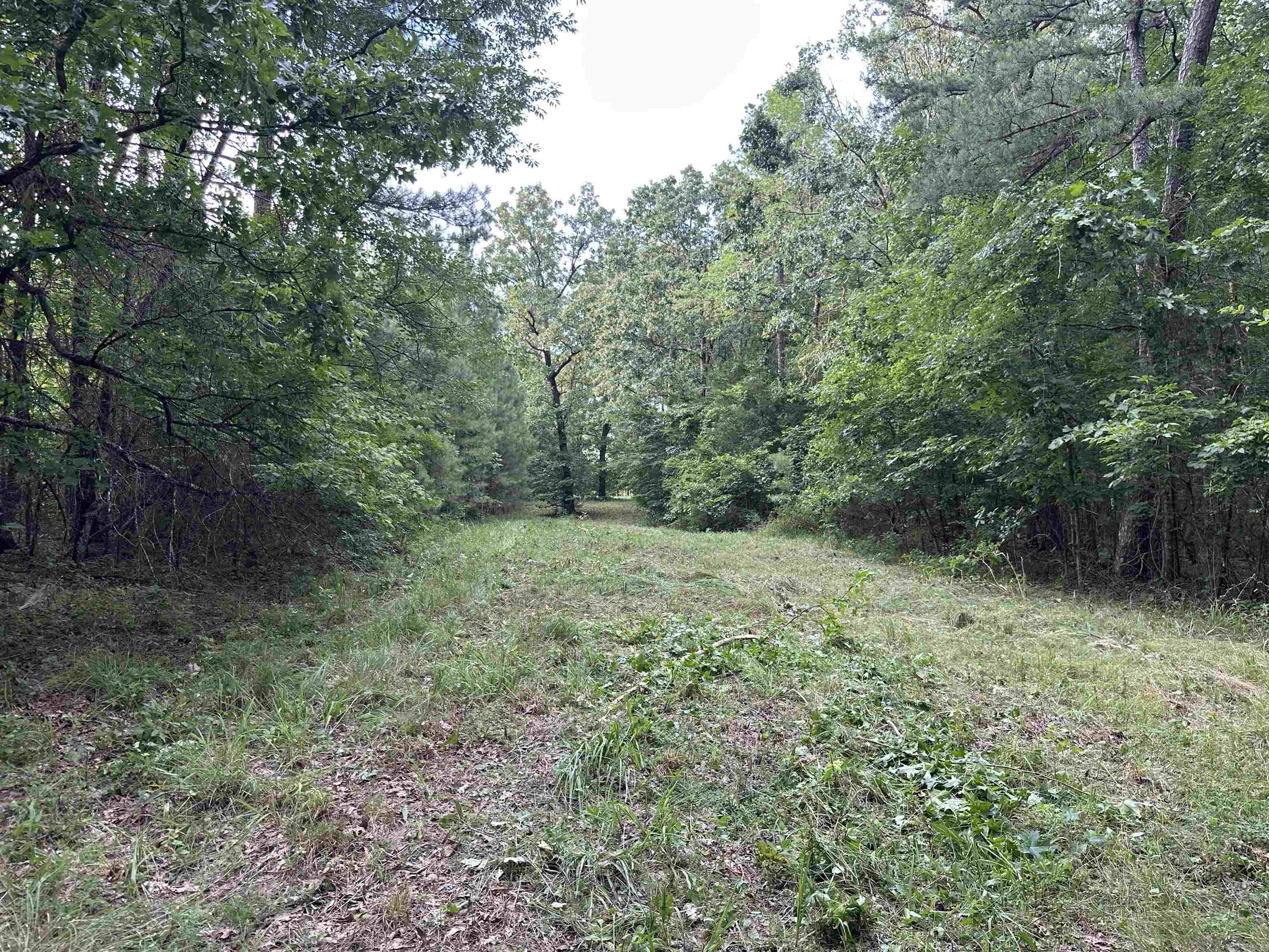 000 Carmichael Rd.  Searcy, AR