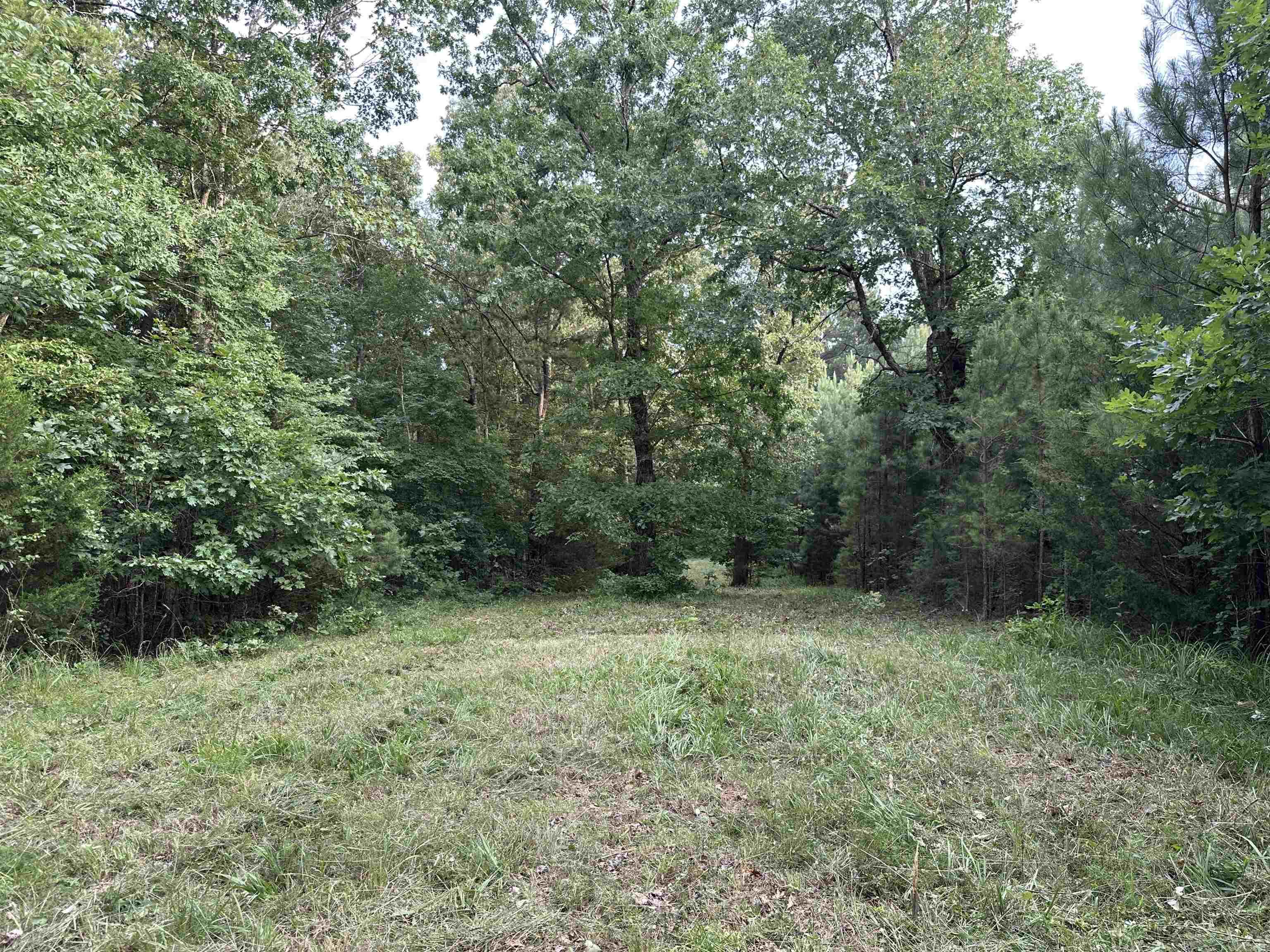 000 Carmichael Rd.  Searcy, AR