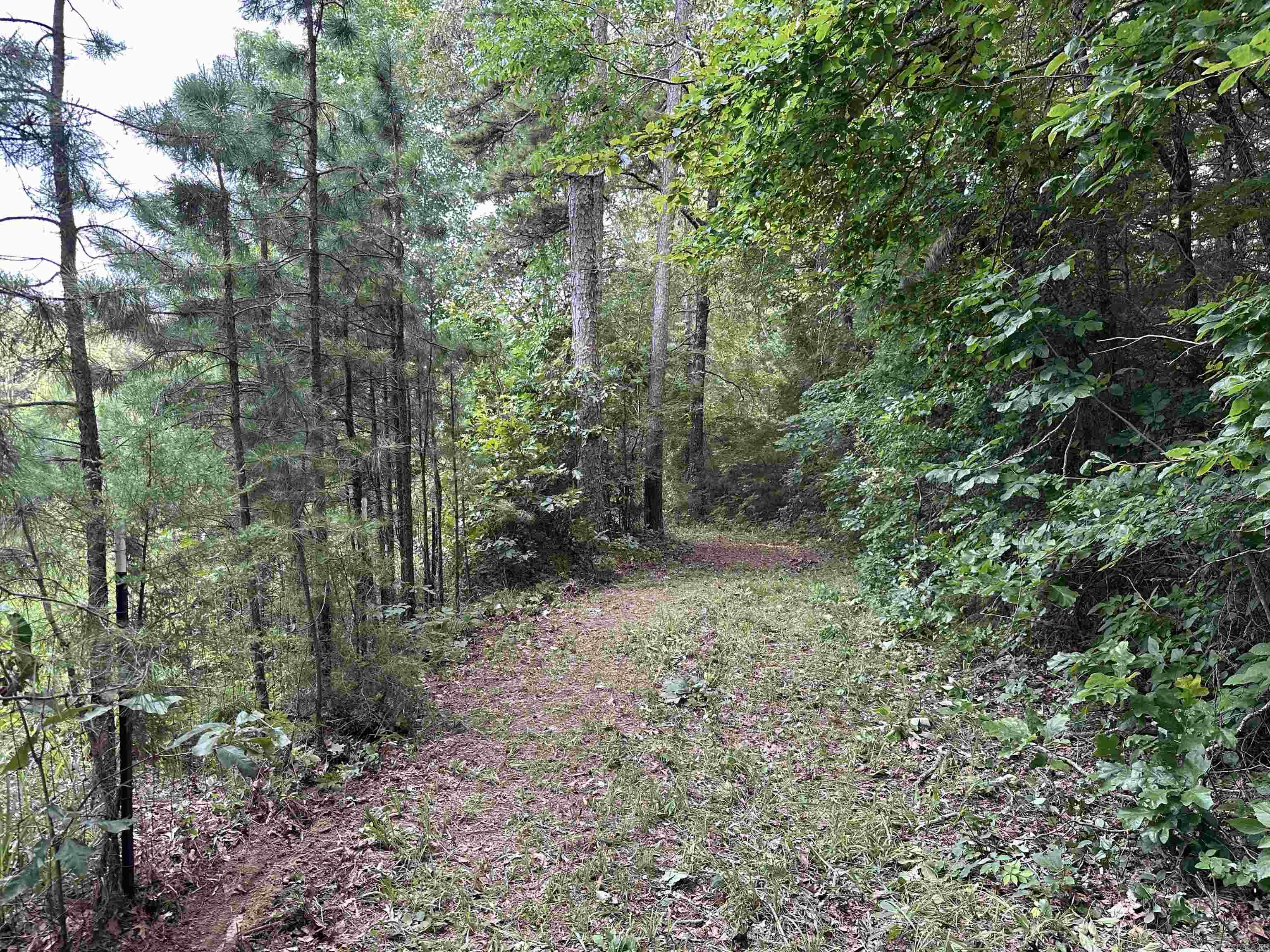 000 Carmichael Rd.  Searcy, AR