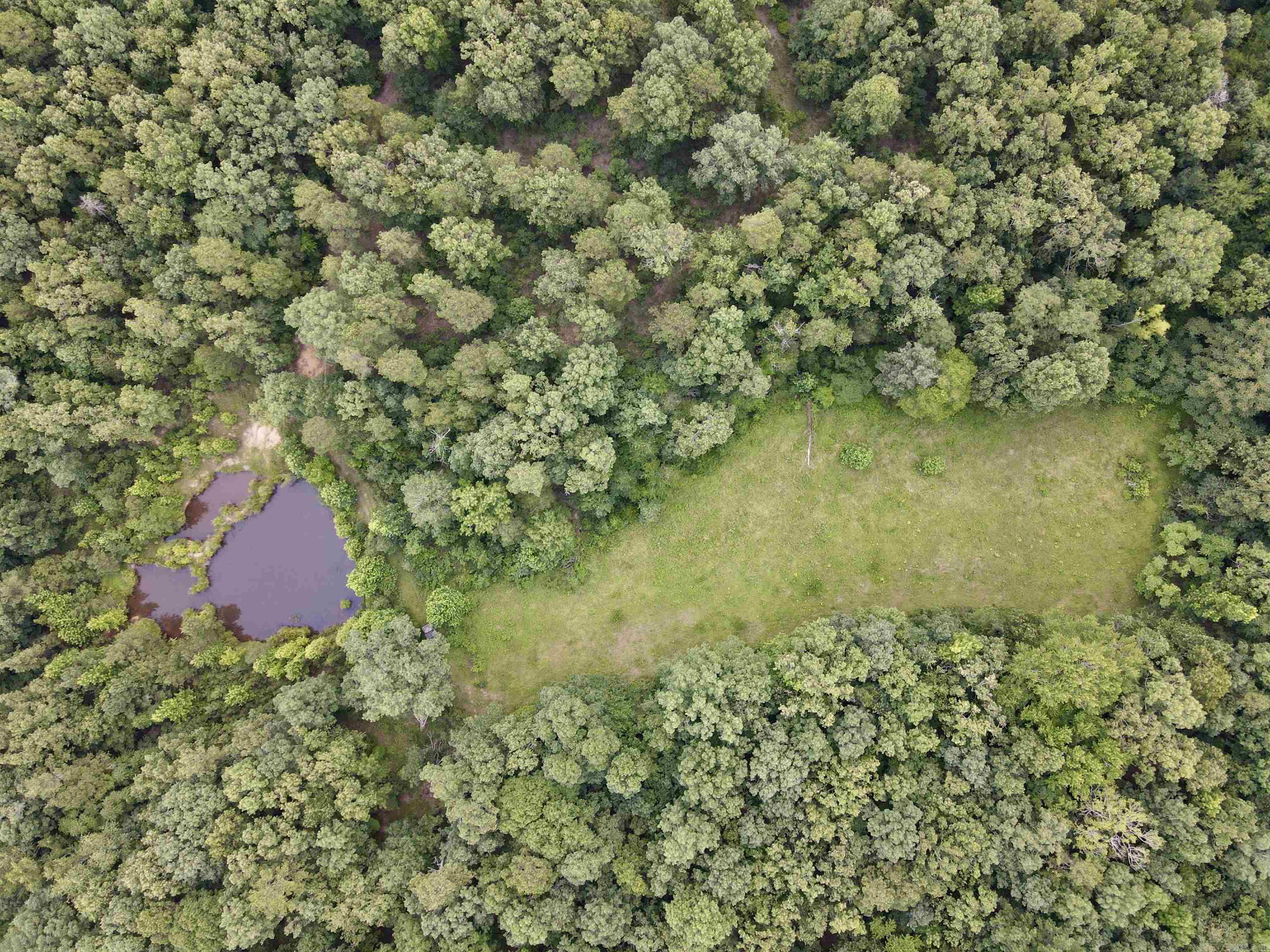 000 Carmichael Rd.  Searcy, AR