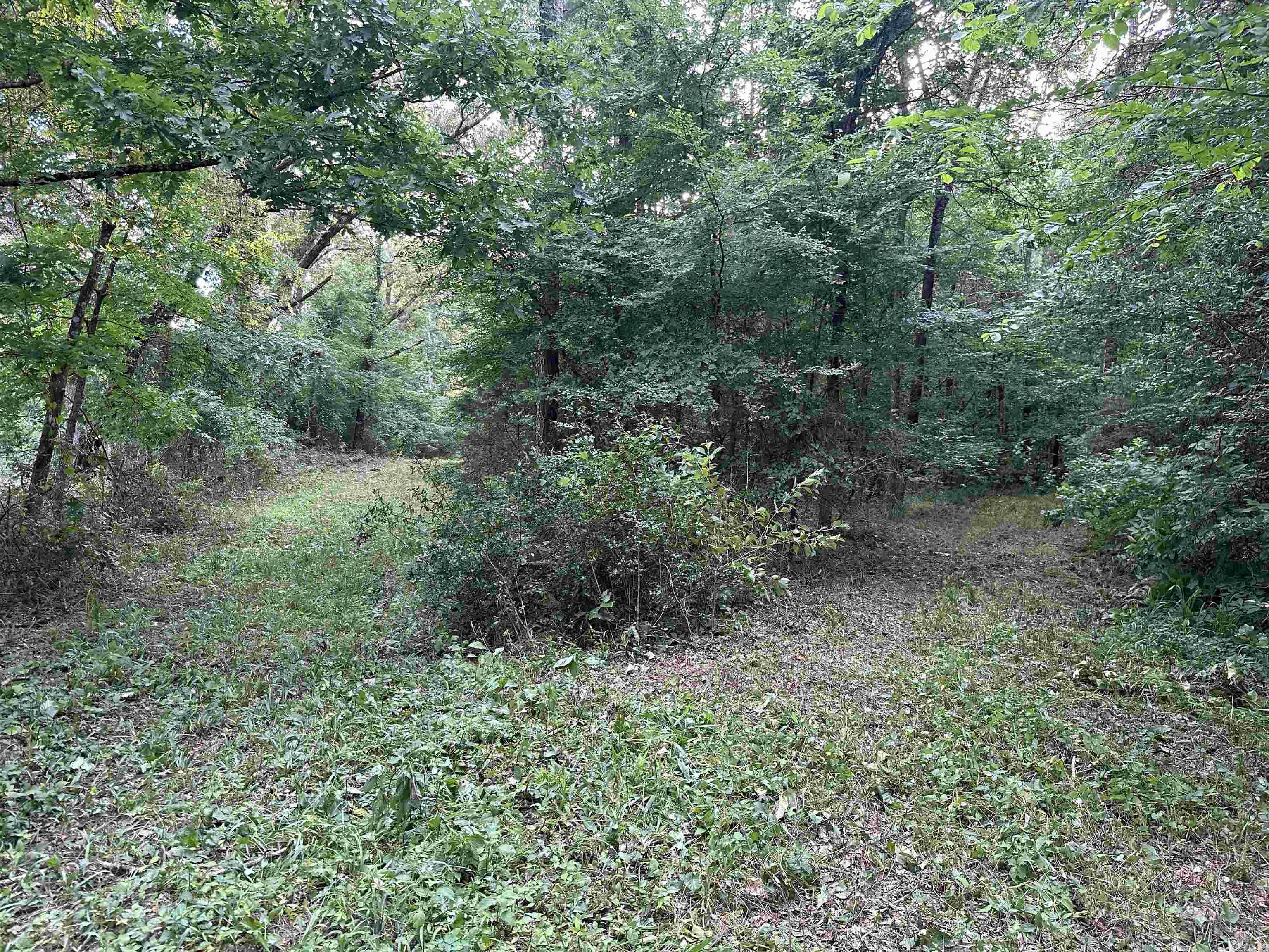 000 Carmichael Rd.  Searcy, AR