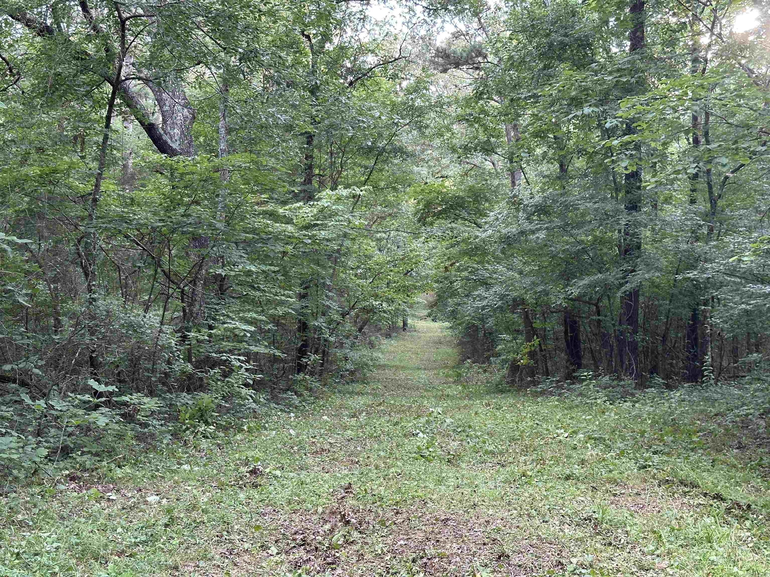 000 Carmichael Rd.  Searcy, AR