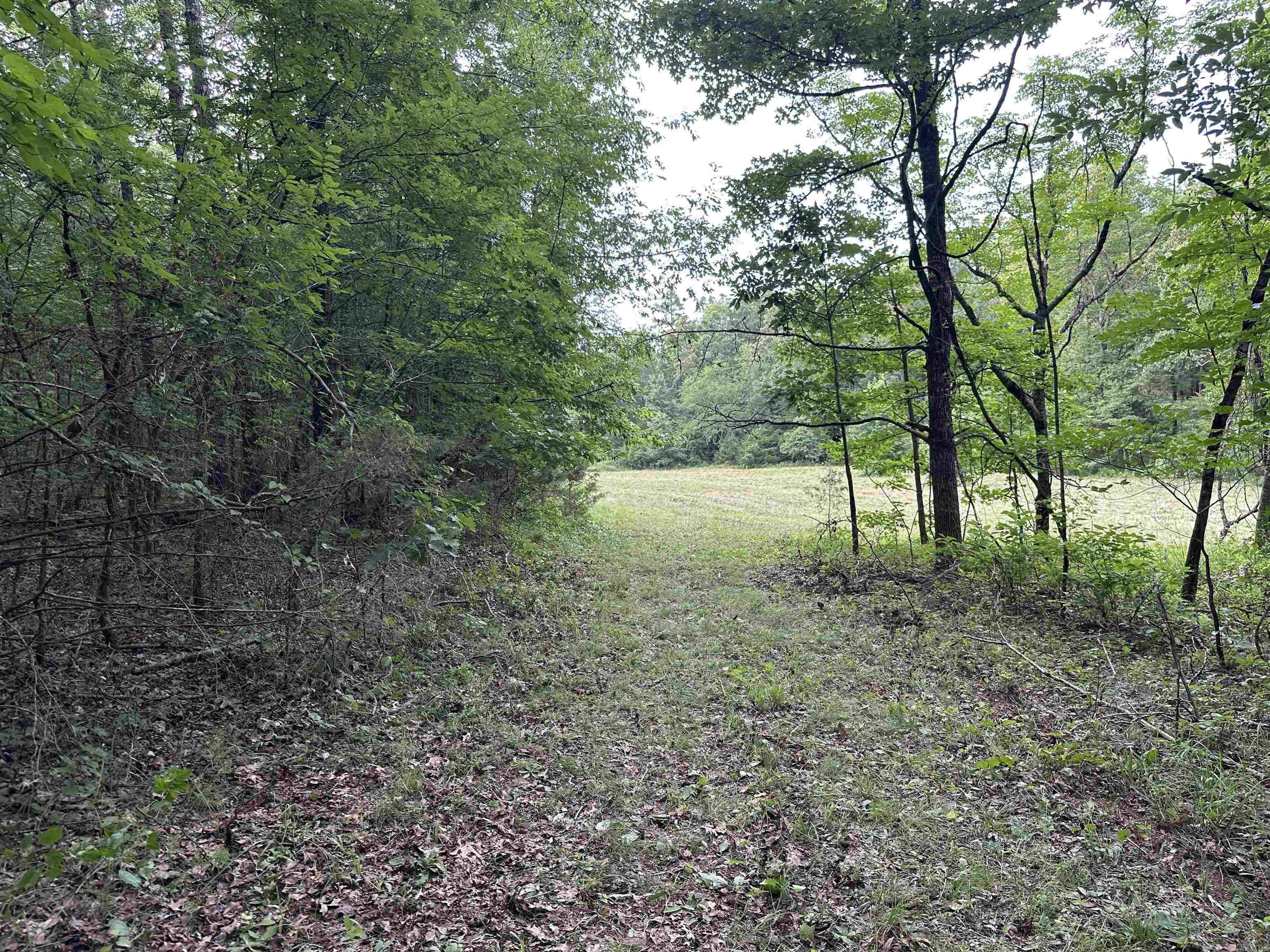 000 Carmichael Rd.  Searcy, AR