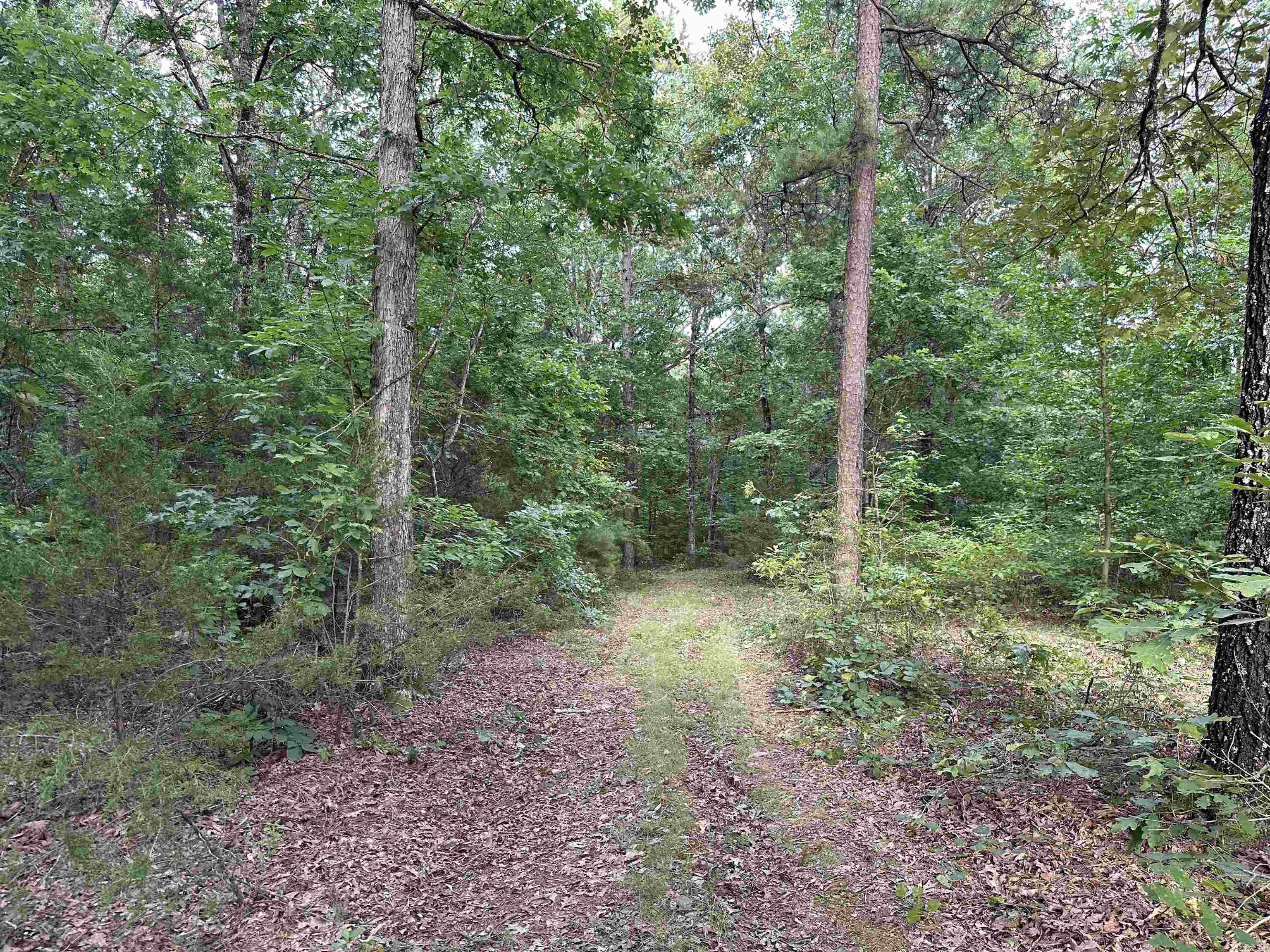 000 Carmichael Rd.  Searcy, AR