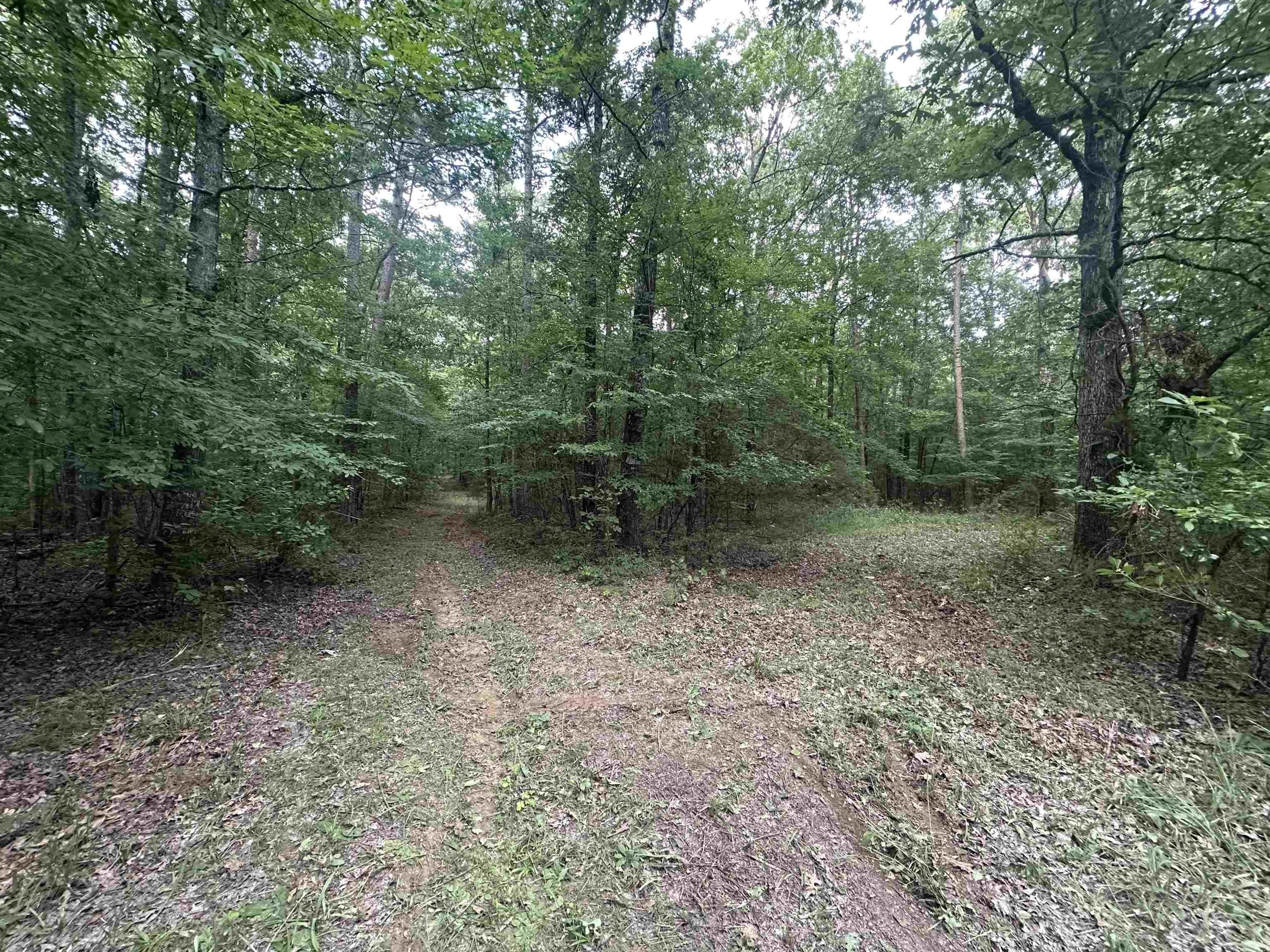000 Carmichael Rd.  Searcy, AR