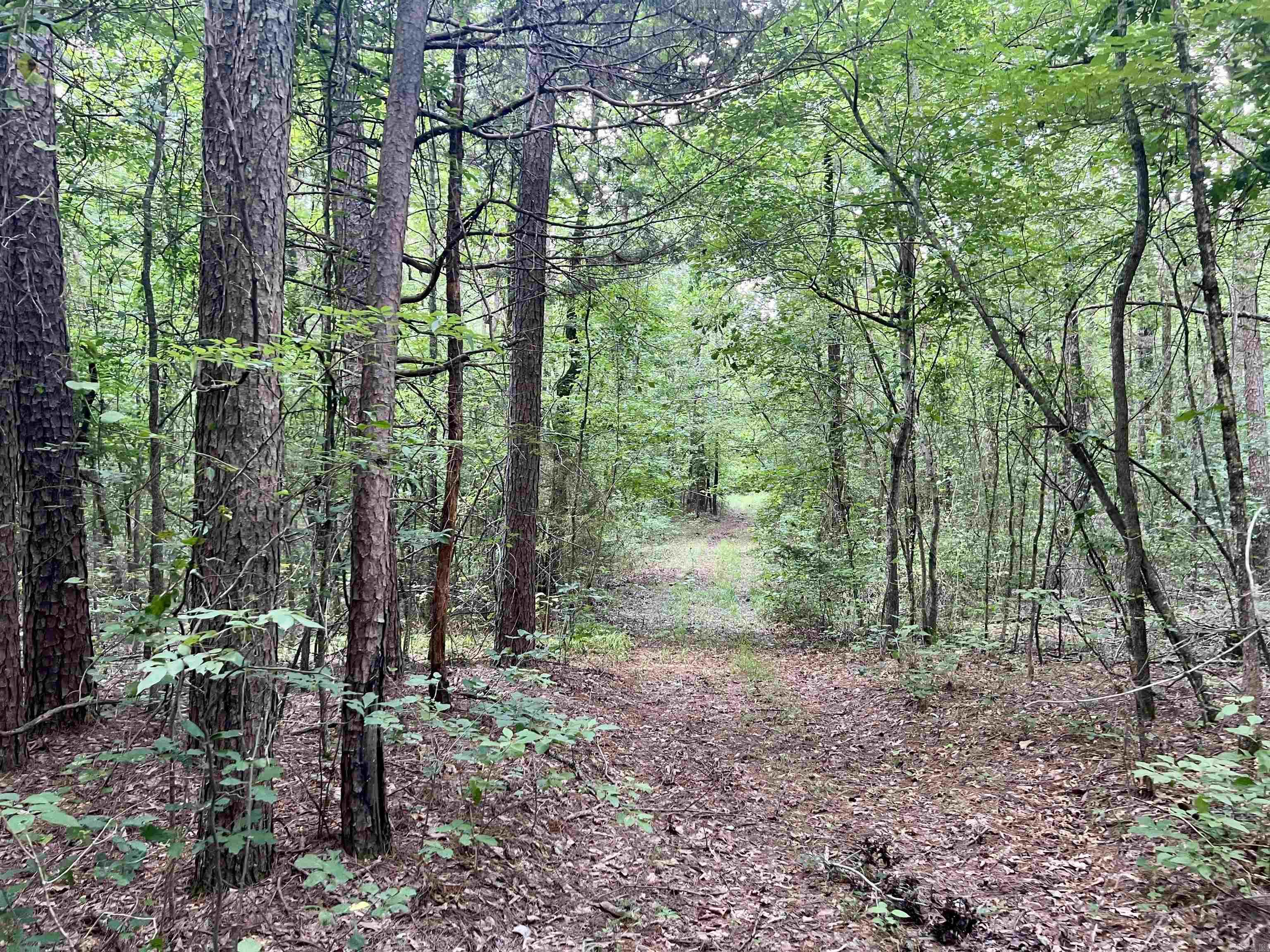 000 Carmichael Rd.  Searcy, AR