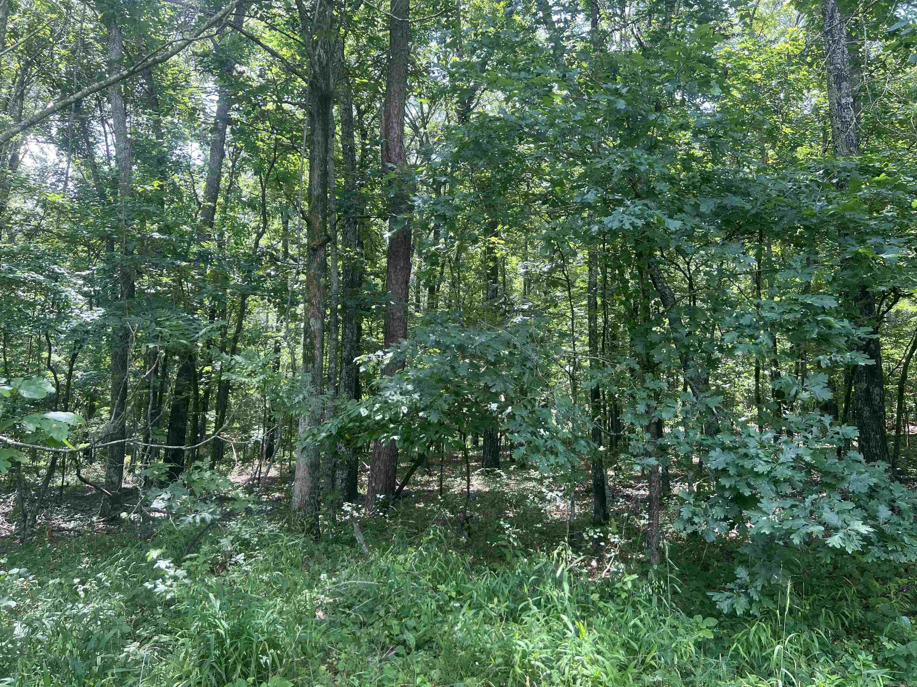 000 Carmichael Rd.  Searcy, AR