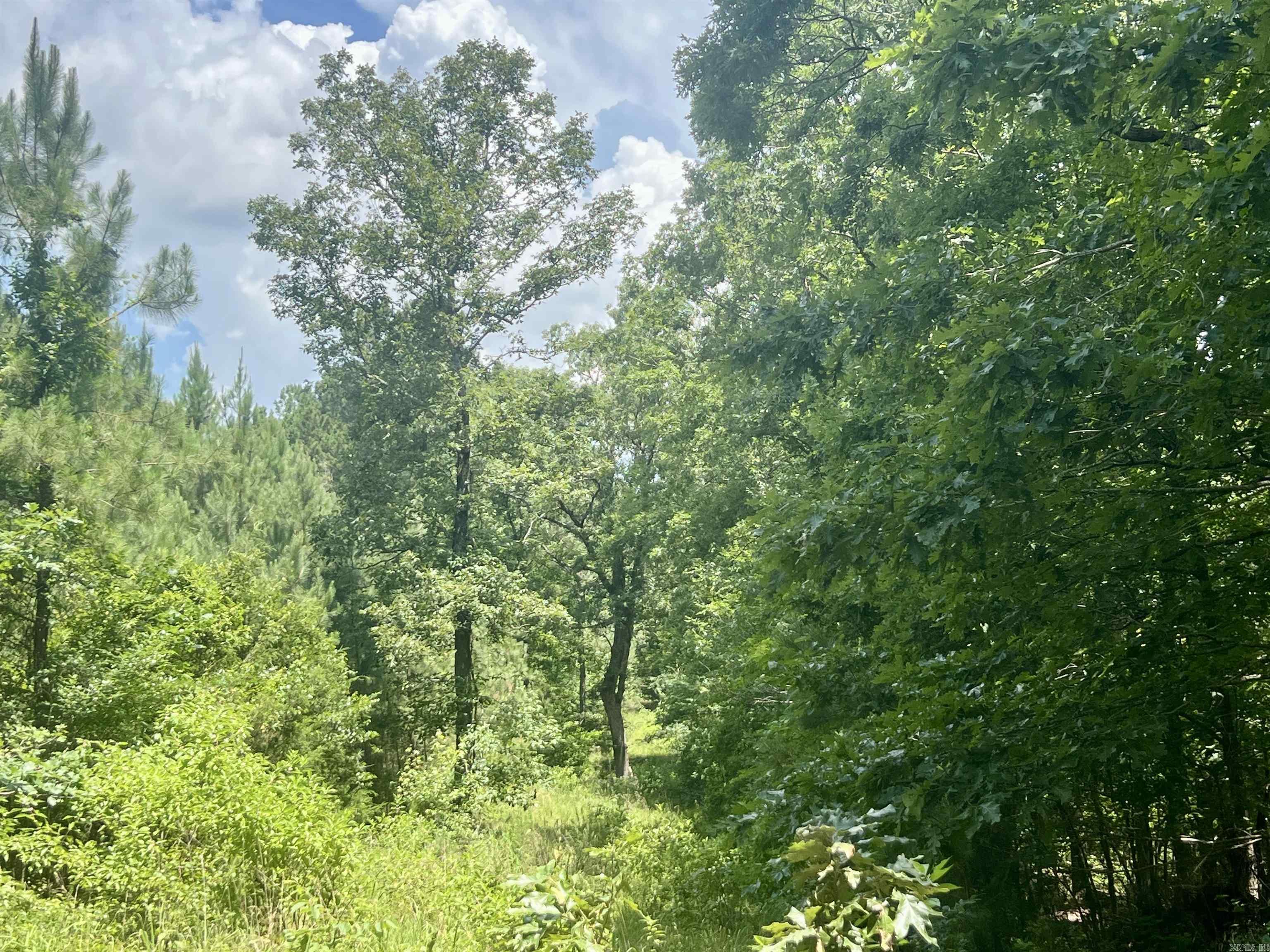 000 Carmichael Rd.  Searcy, AR