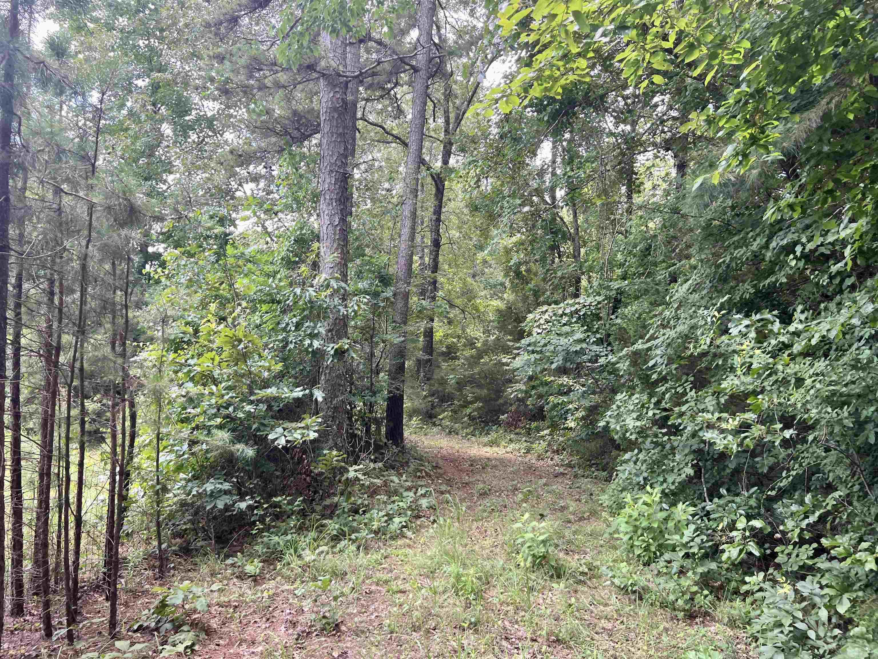 000 Carmichael Rd.  Searcy, AR