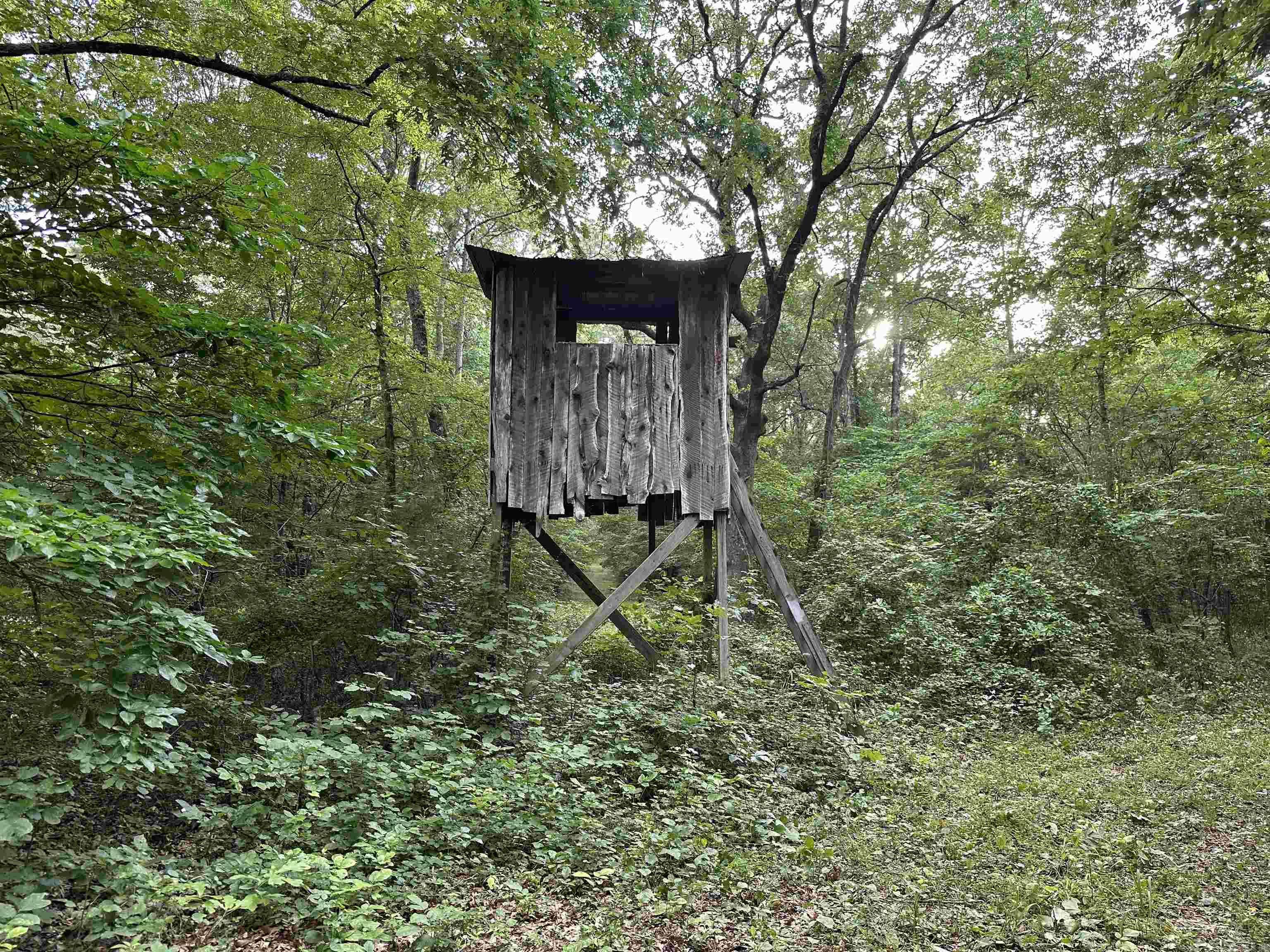 000 Carmichael Rd.  Searcy, AR