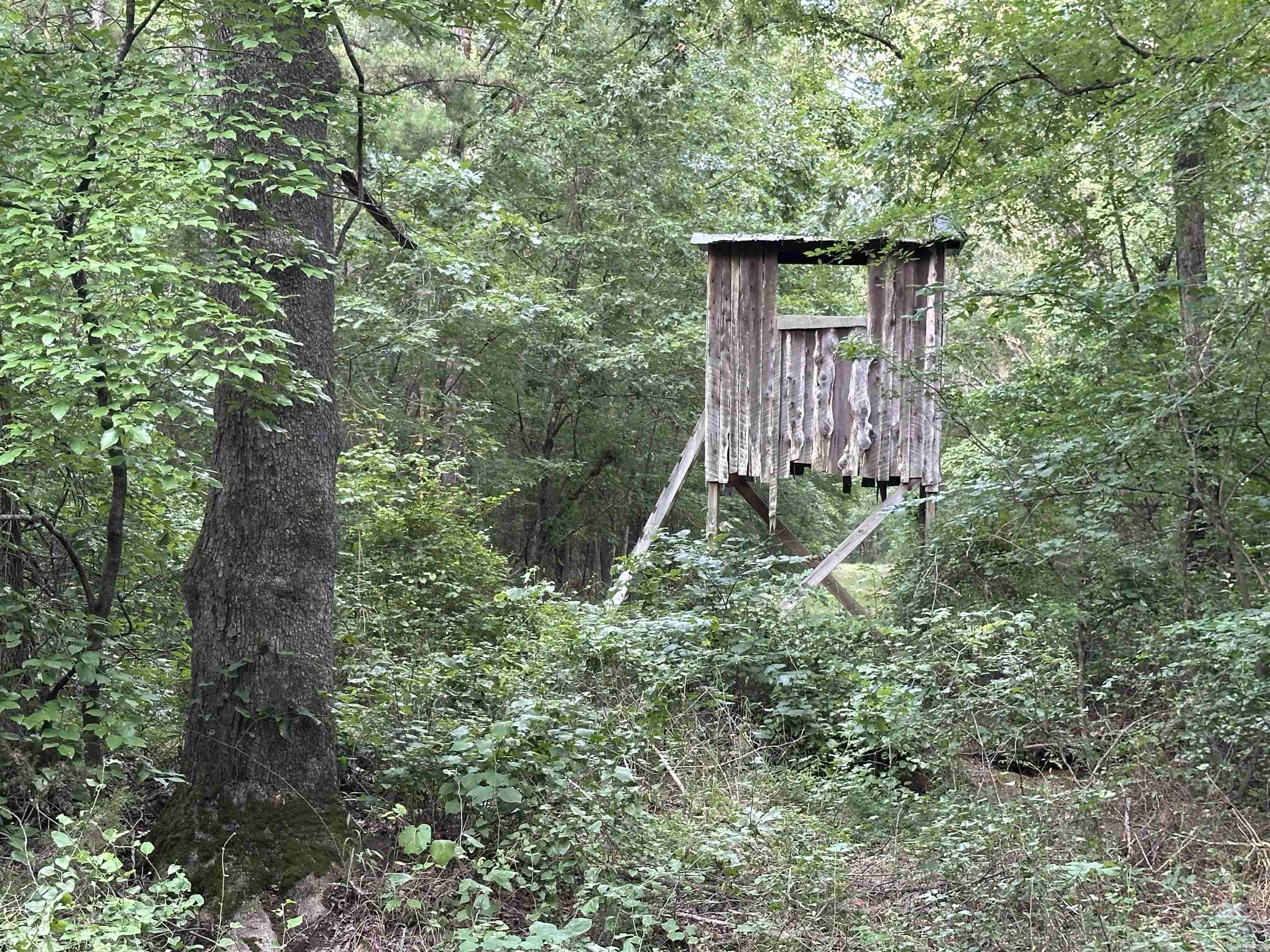 000 Carmichael Rd.  Searcy, AR