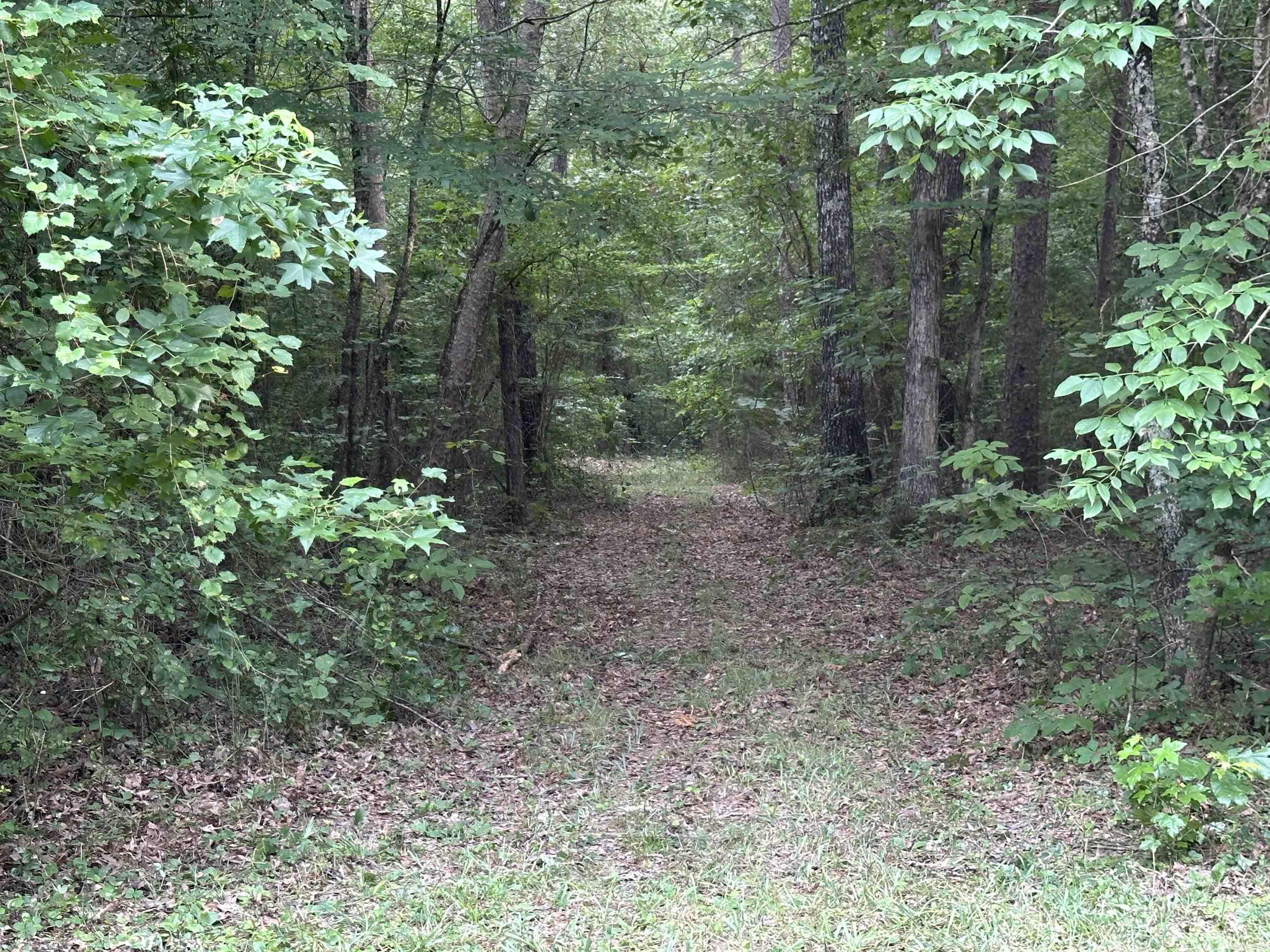 000 Carmichael Rd.  Searcy, AR
