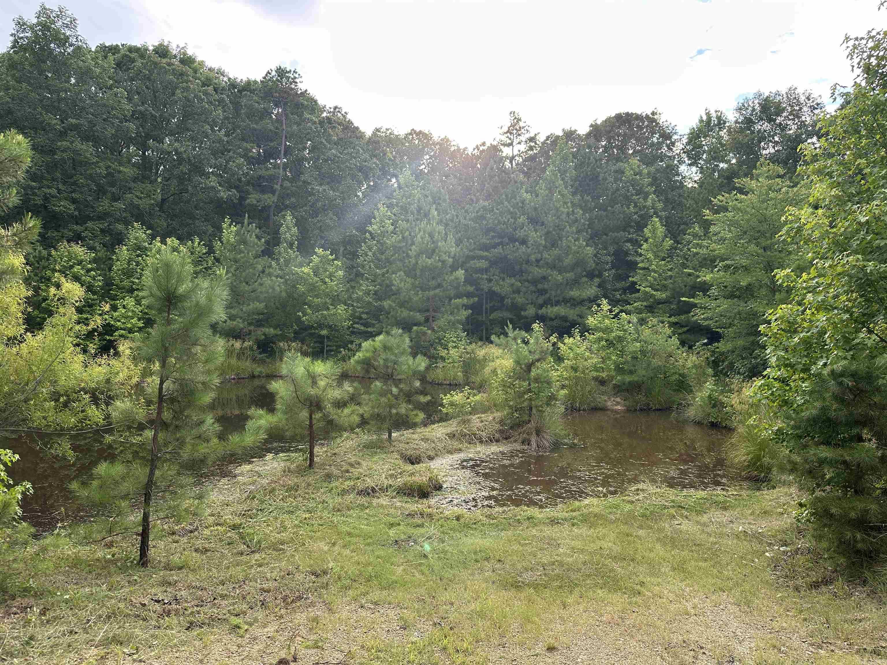 000 Carmichael Rd.  Searcy, AR
