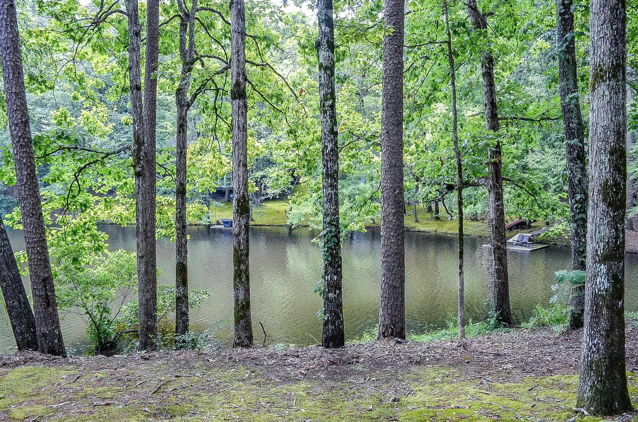 3 La Canada Lane  Hot Springs Village, AR