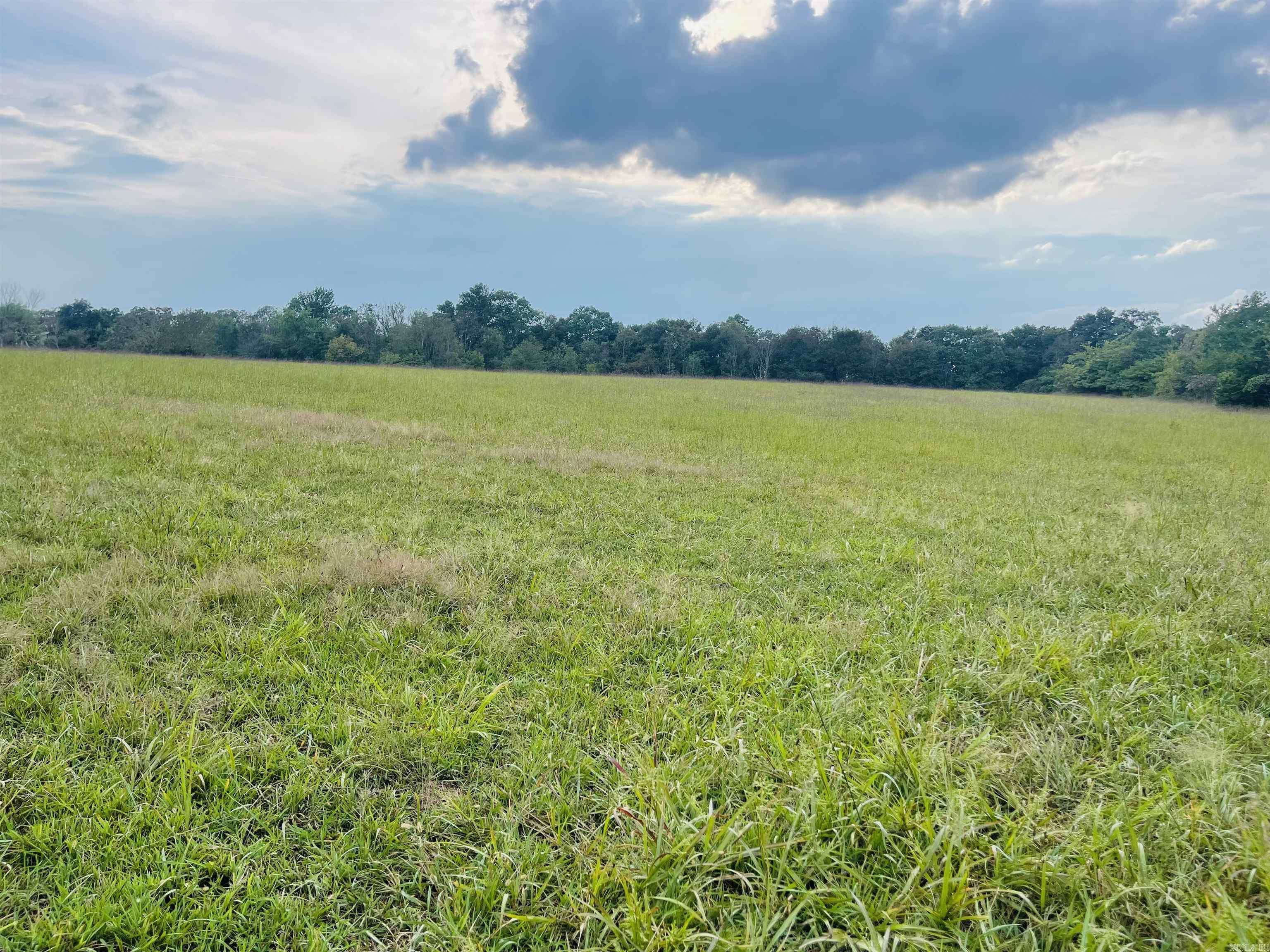  Shady Grove Road  Leslie, AR