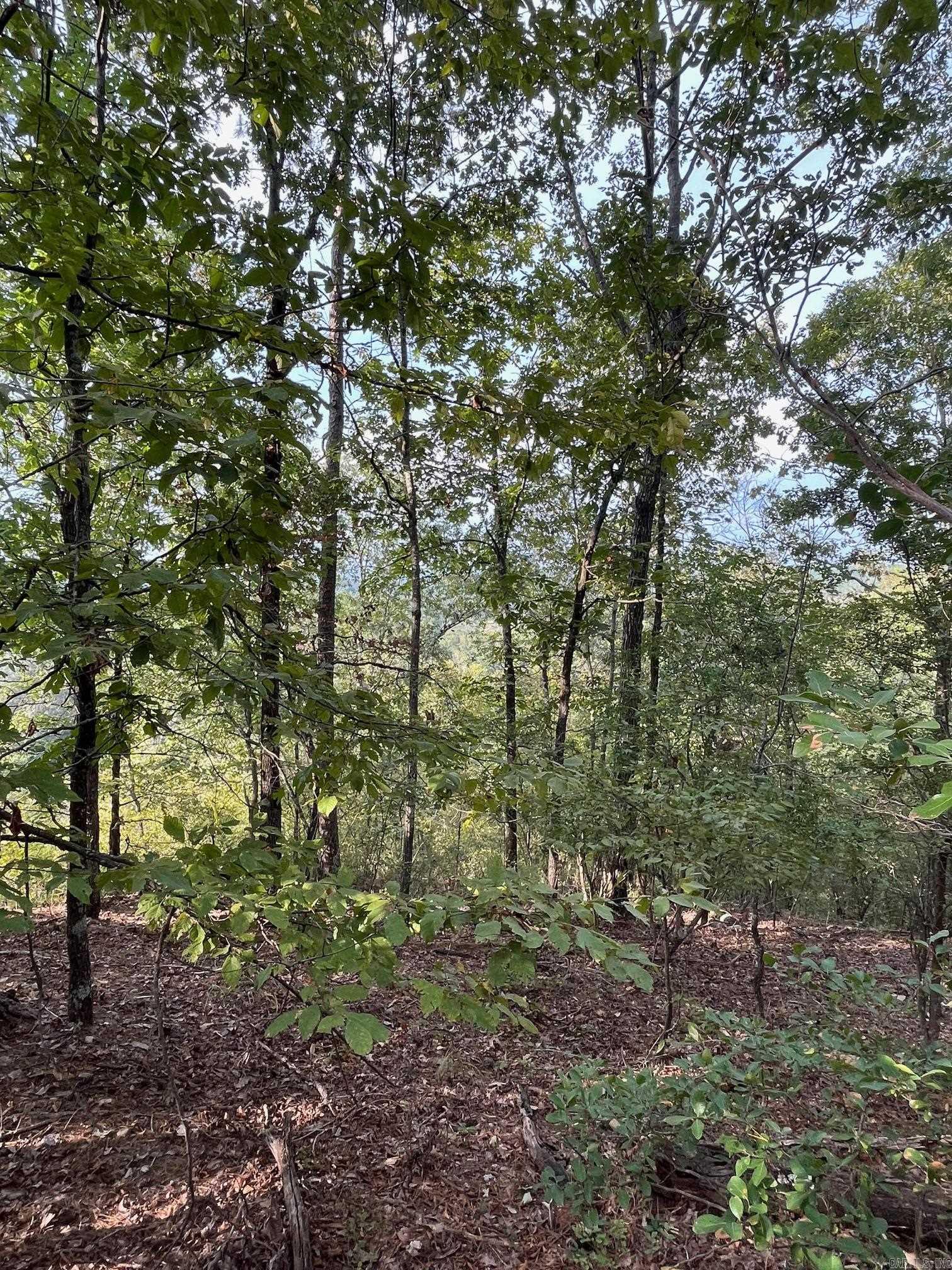 84 N Old Factory Site  Murfreesboro, AR