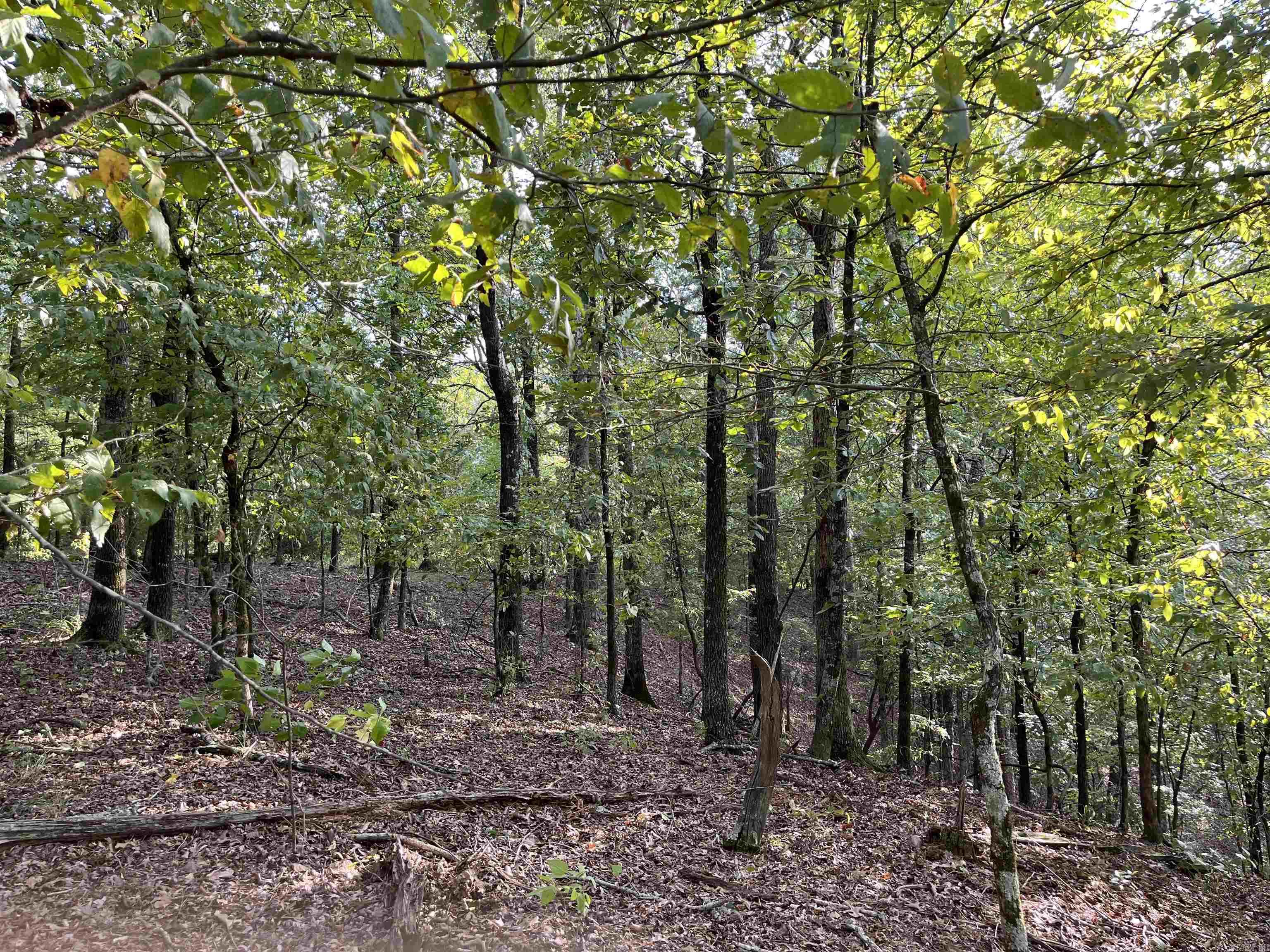 84 N Old Factory Site  Murfreesboro, AR