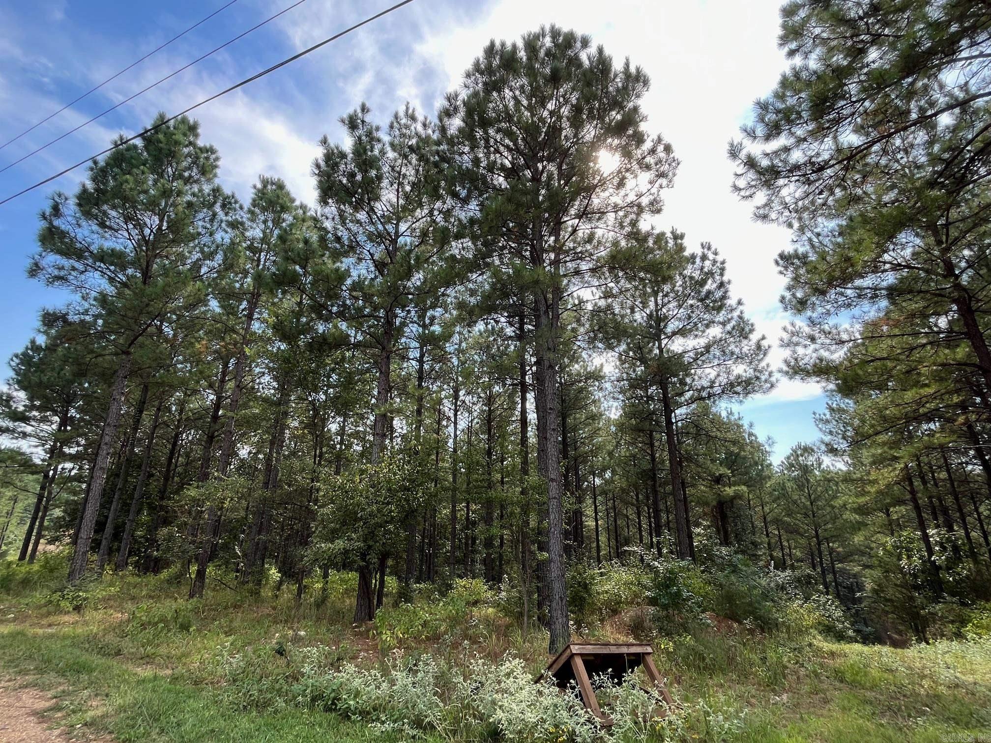 84 N Old Factory Site  Murfreesboro, AR