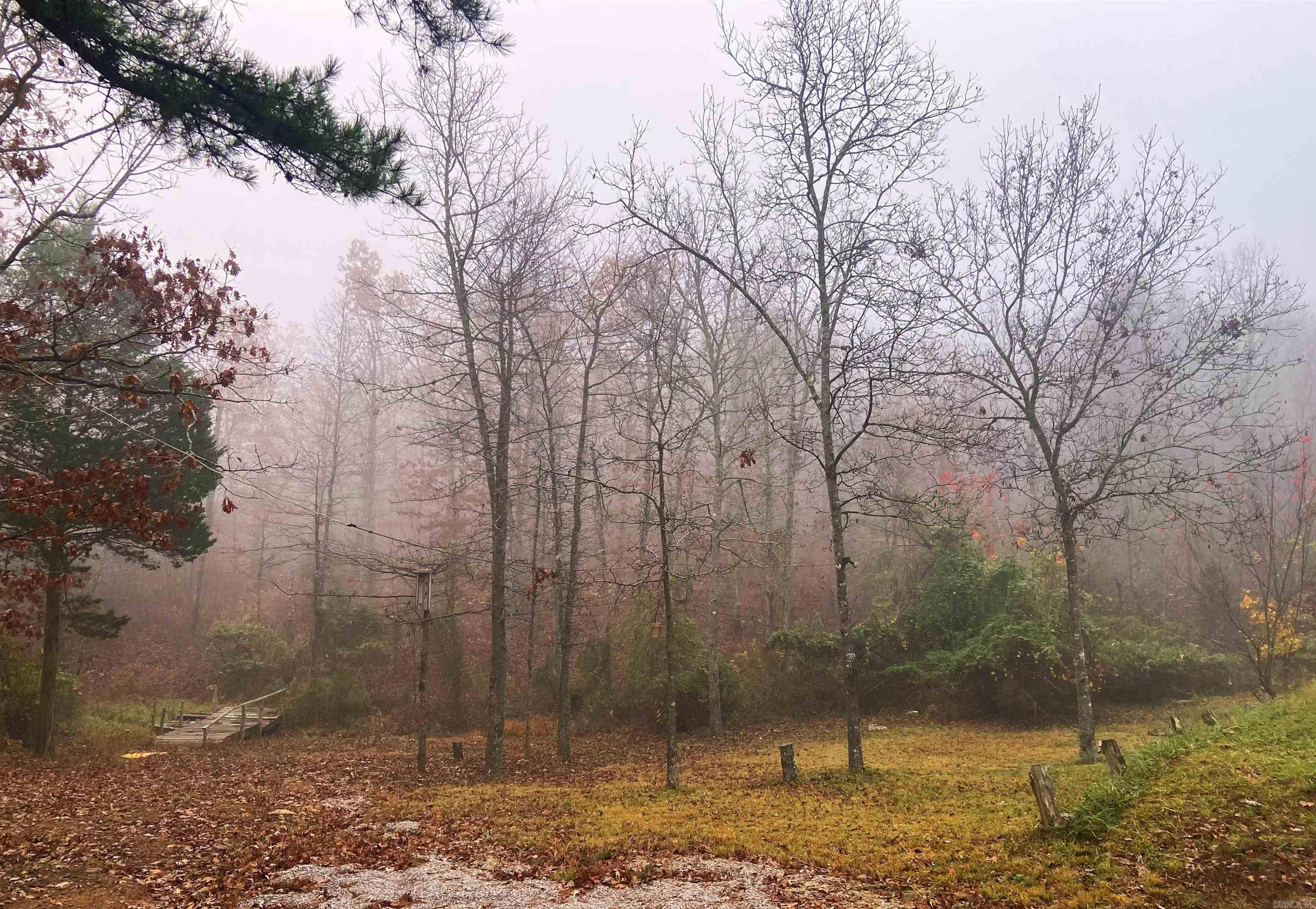 602 Schrock  Mountain View, AR