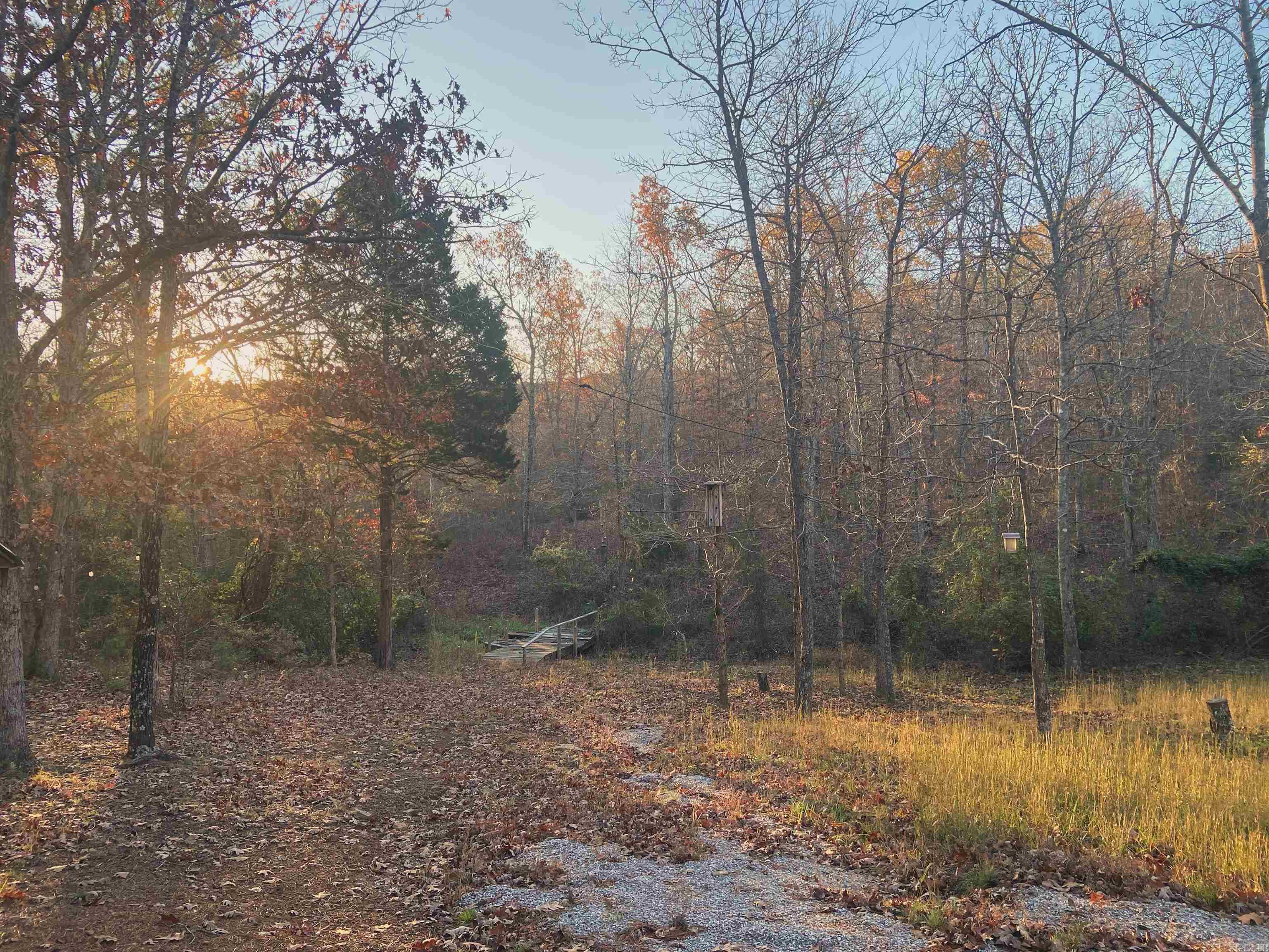 602 Schrock  Mountain View, AR