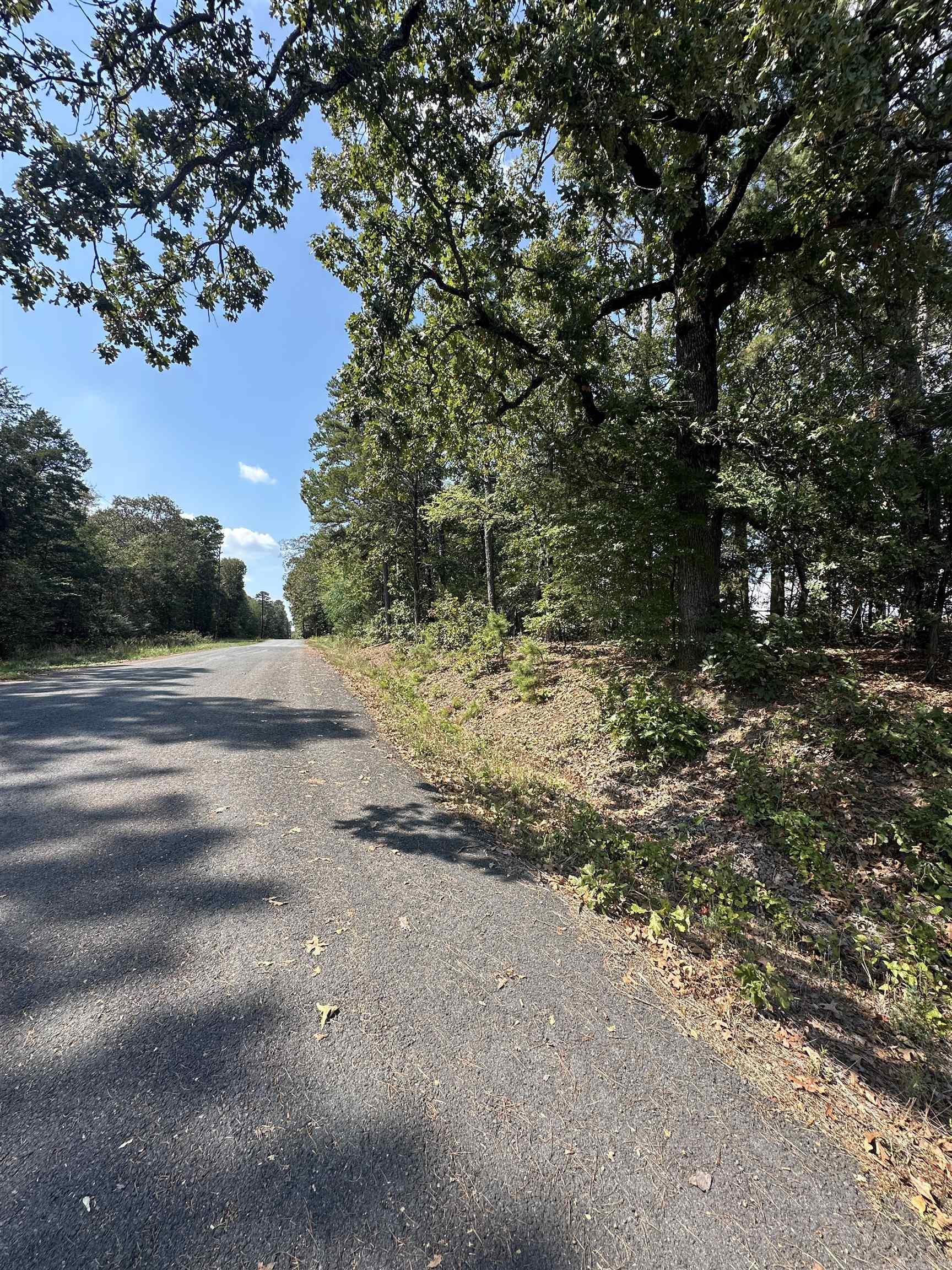 TBD Lizard Trl.  Greers Ferry, AR