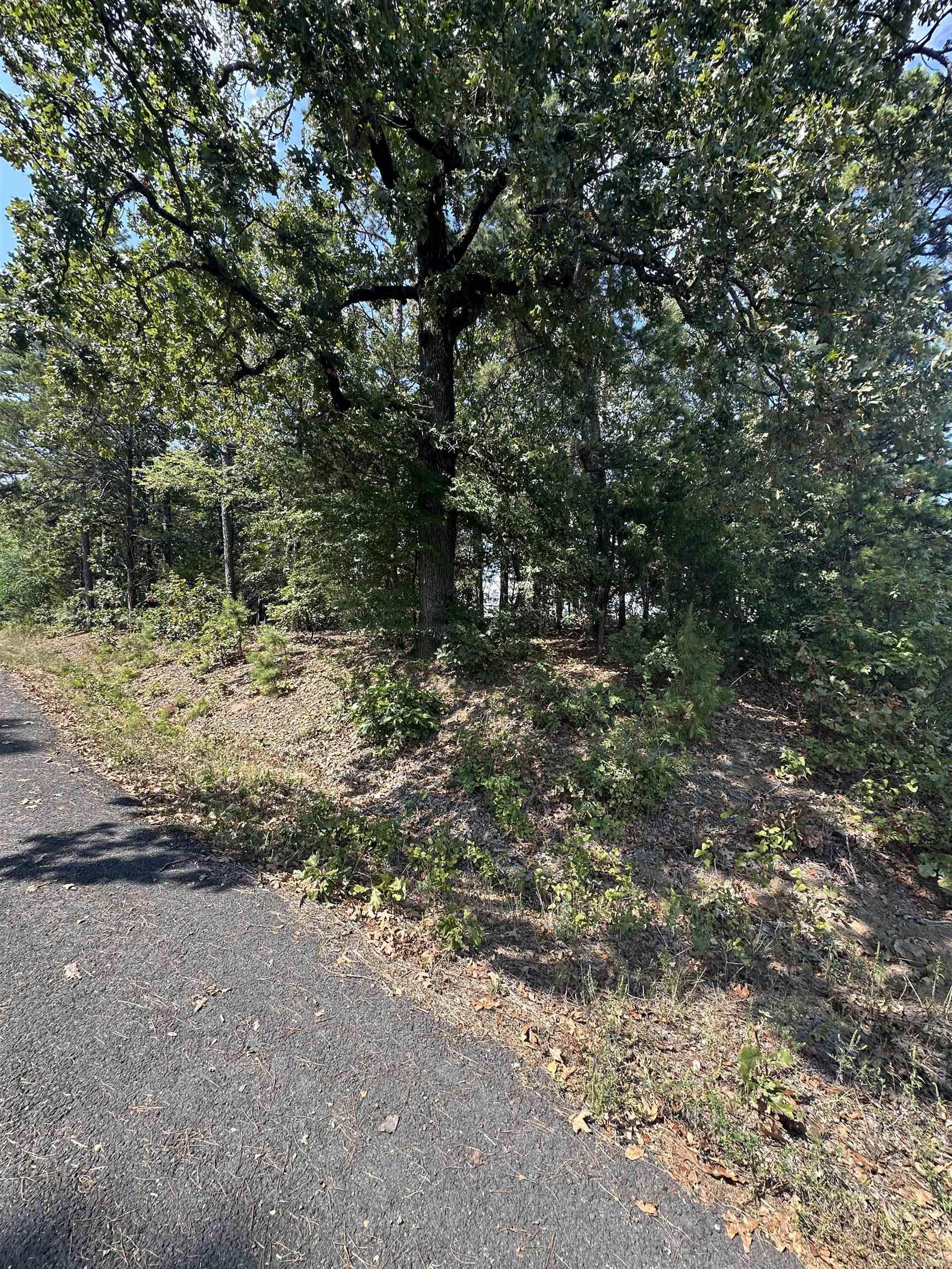 TBD Lizard Trl.  Greers Ferry, AR