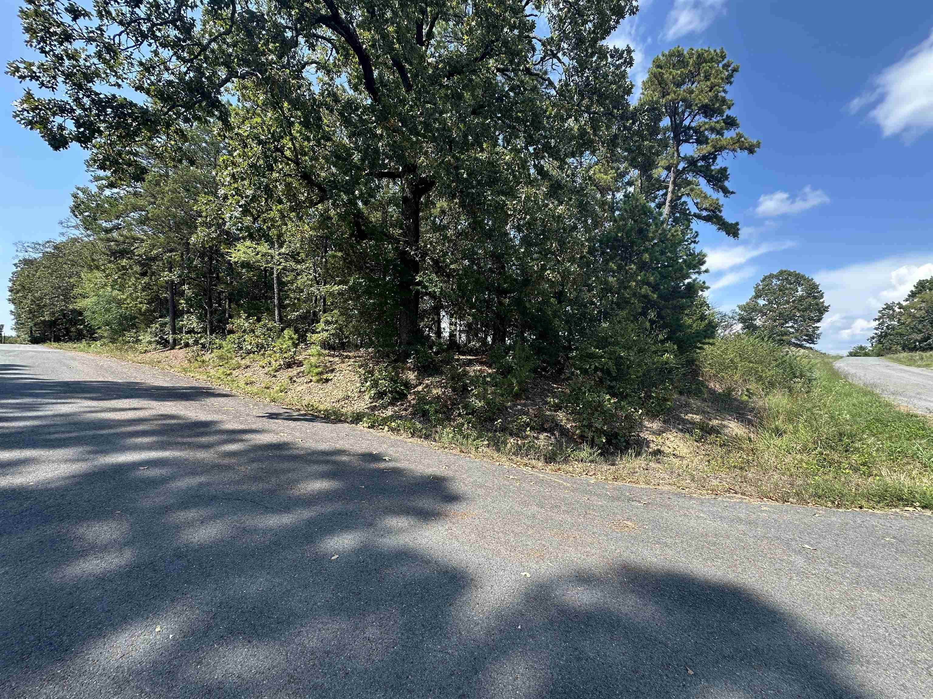 TBD Lizard Trl.  Greers Ferry, AR