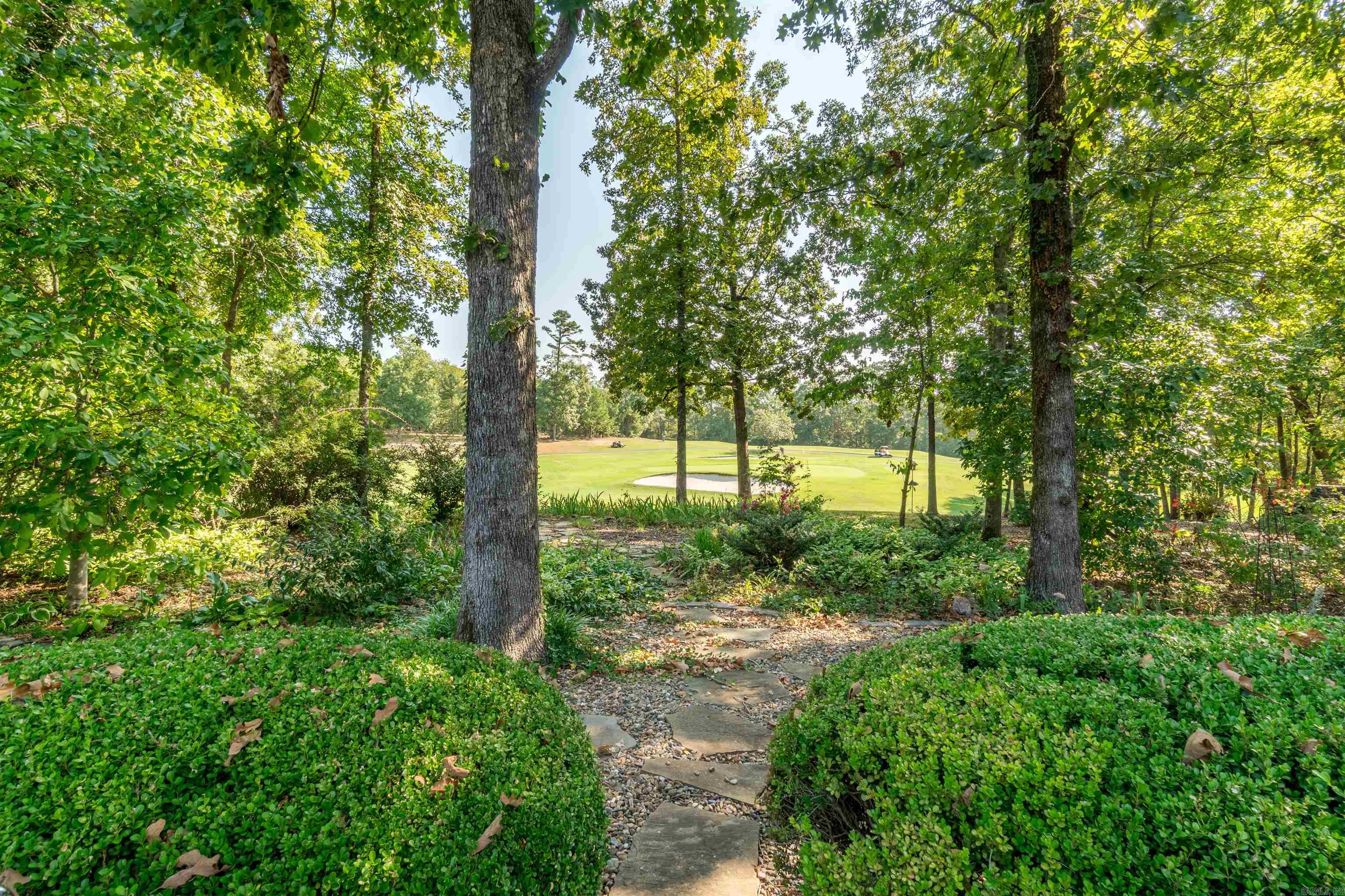 1 Faisan  Hot Springs Village, AR