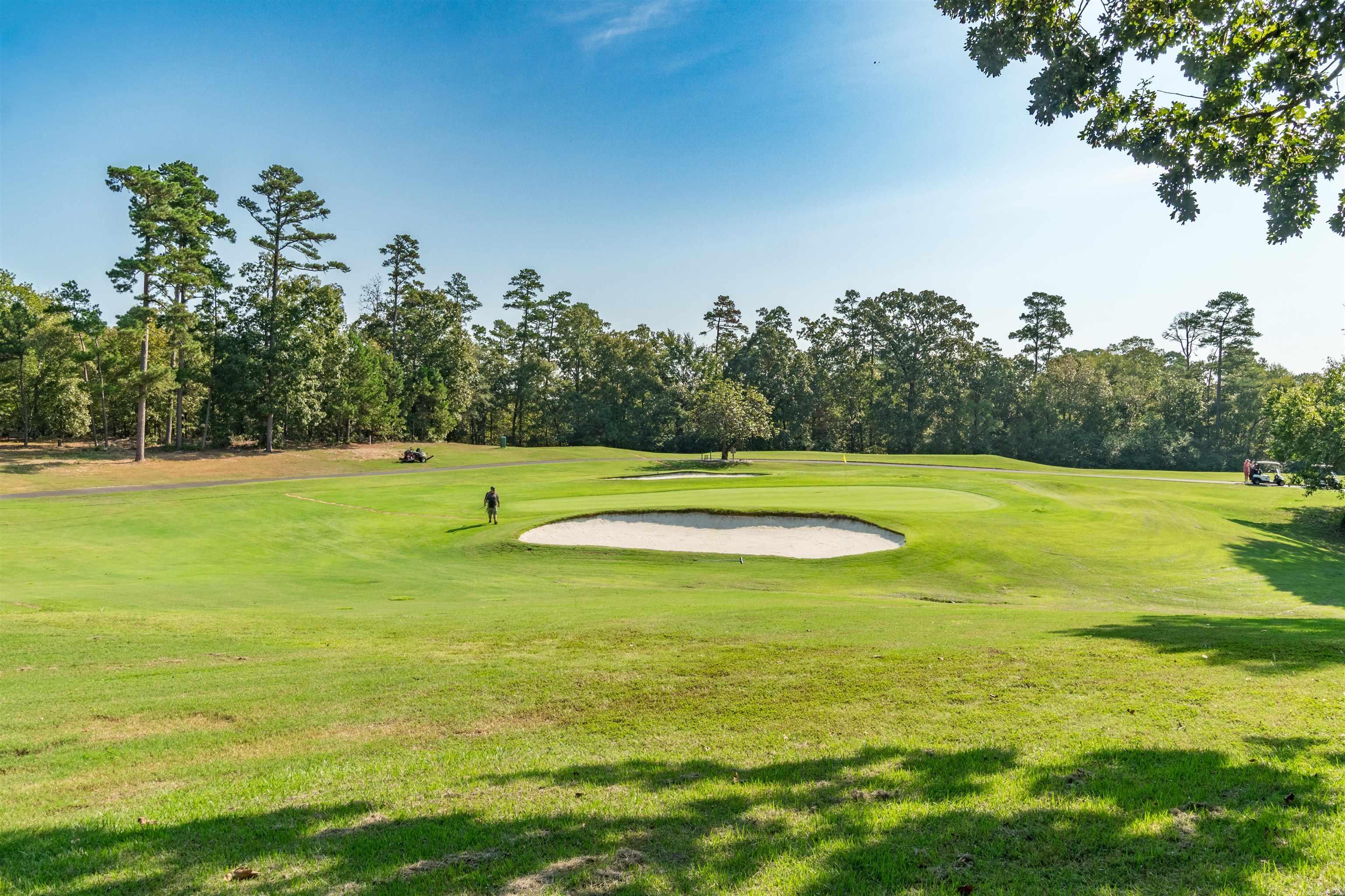 1 Faisan  Hot Springs Village, AR