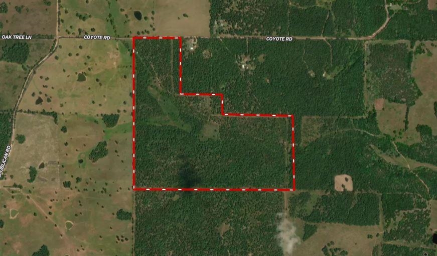 253 Coyote Rd  Salem, AR