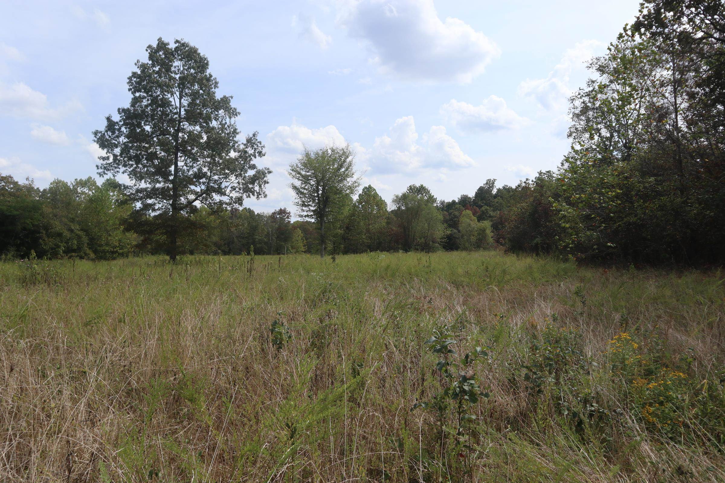 253 Coyote Rd  Salem, AR