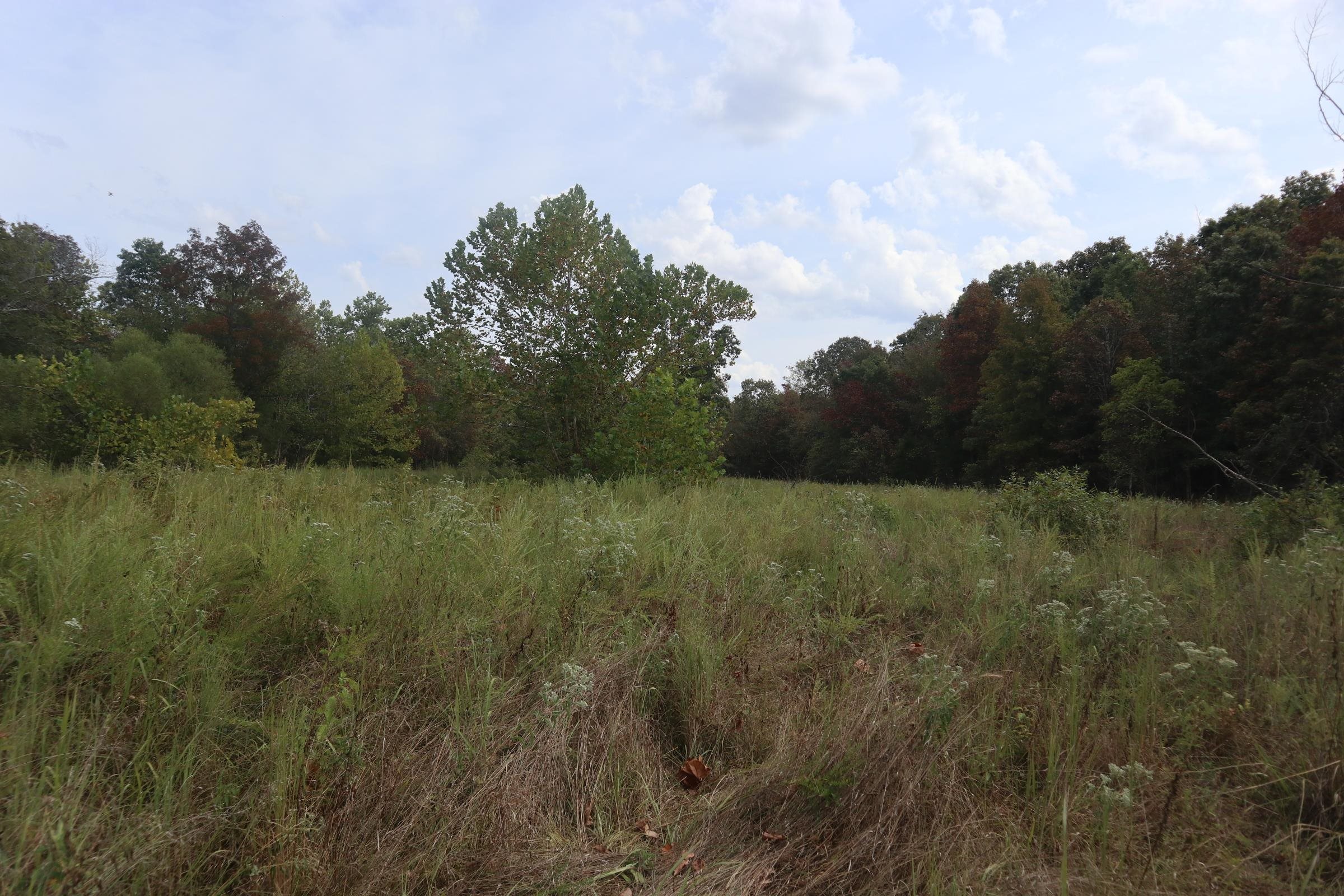 253 Coyote Rd  Salem, AR
