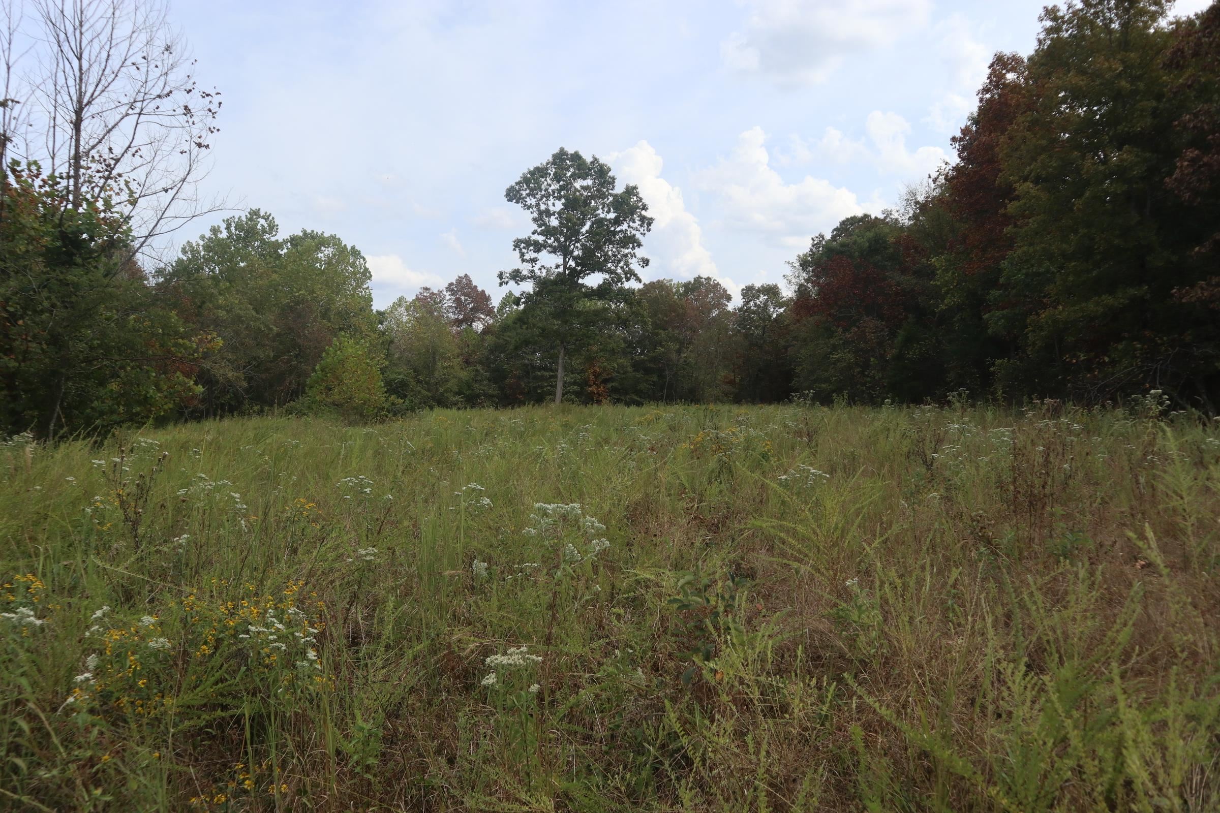 253 Coyote Rd  Salem, AR
