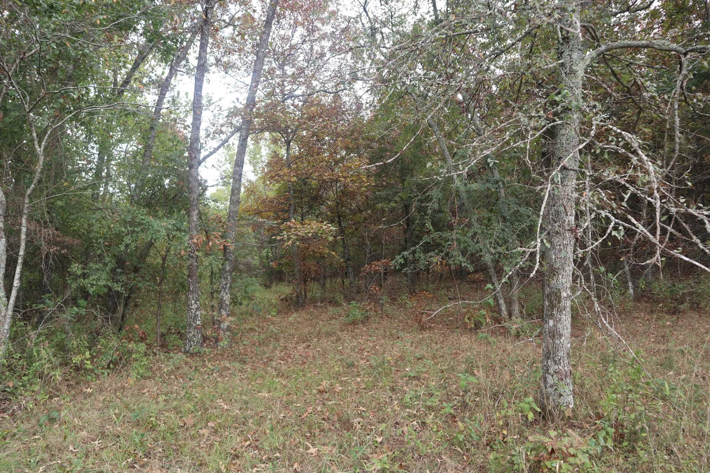 253 Coyote Rd  Salem, AR