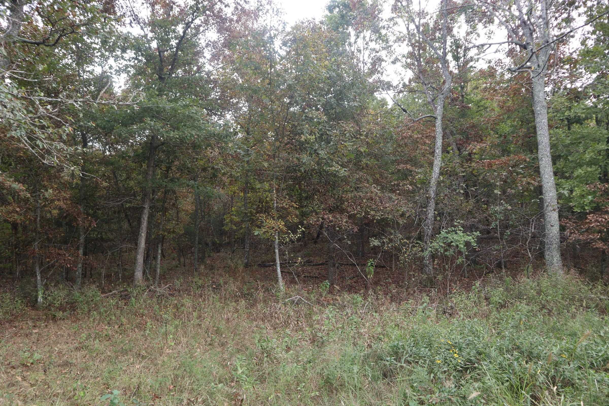 253 Coyote Rd  Salem, AR