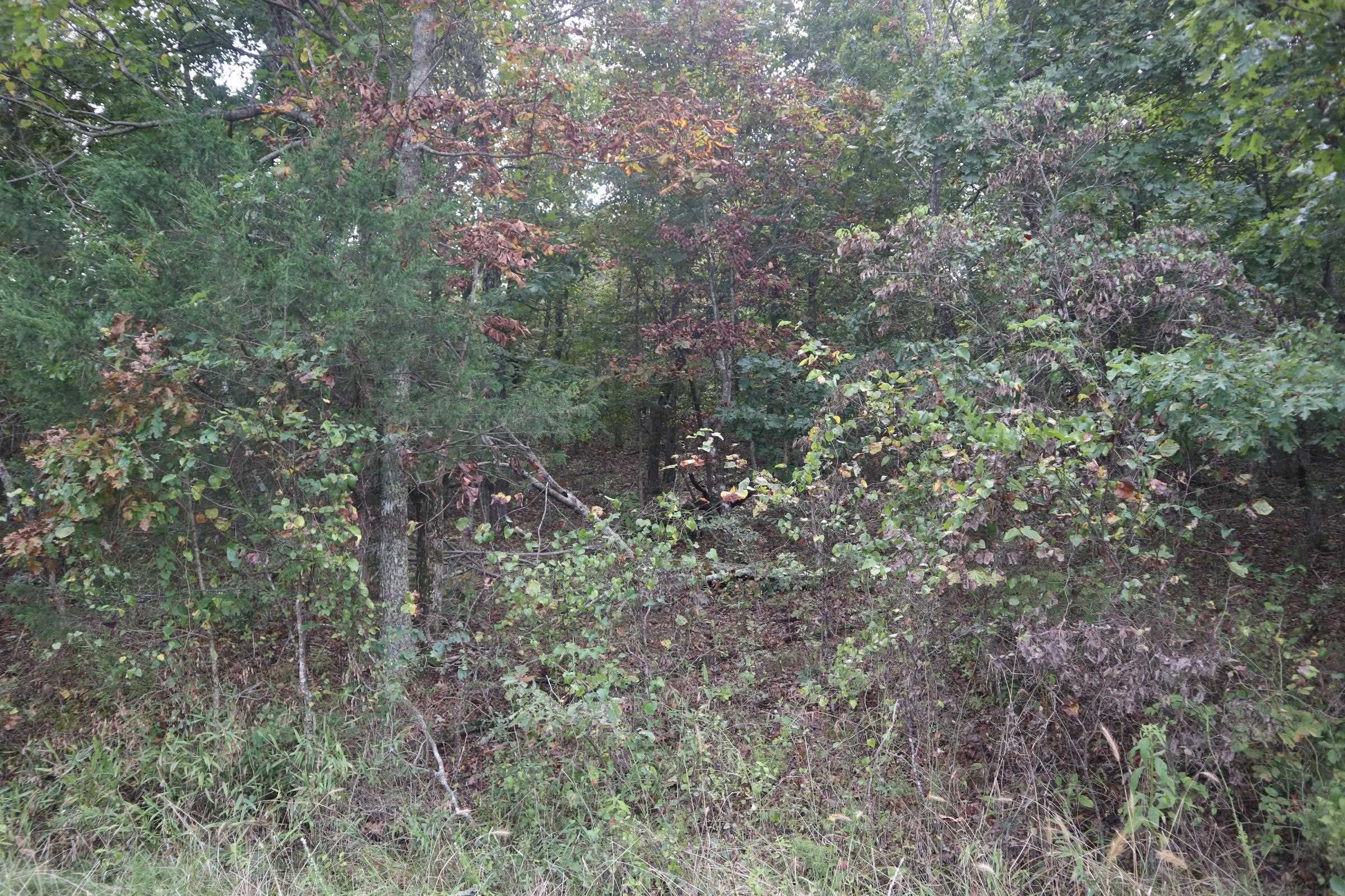 253 Coyote Rd  Salem, AR