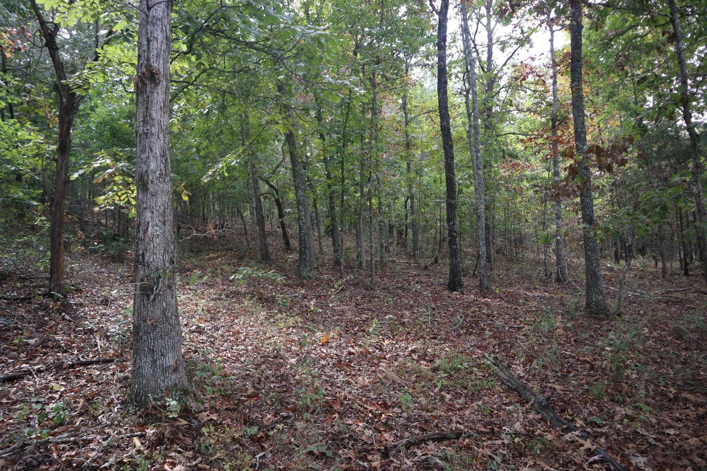 253 Coyote Rd  Salem, AR