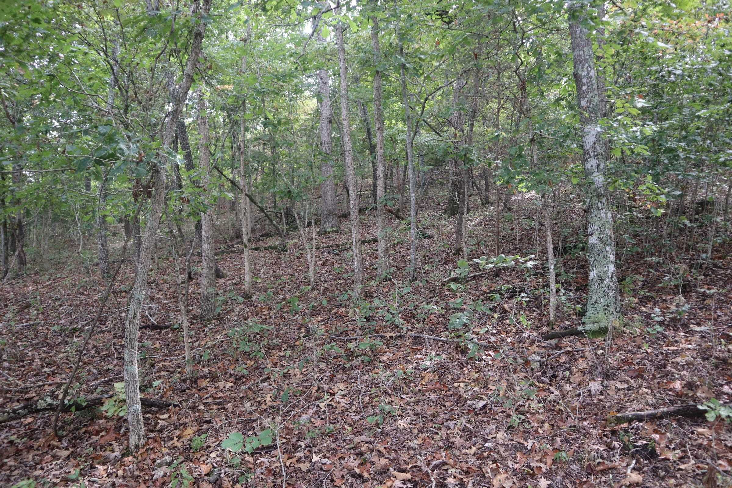 253 Coyote Rd  Salem, AR