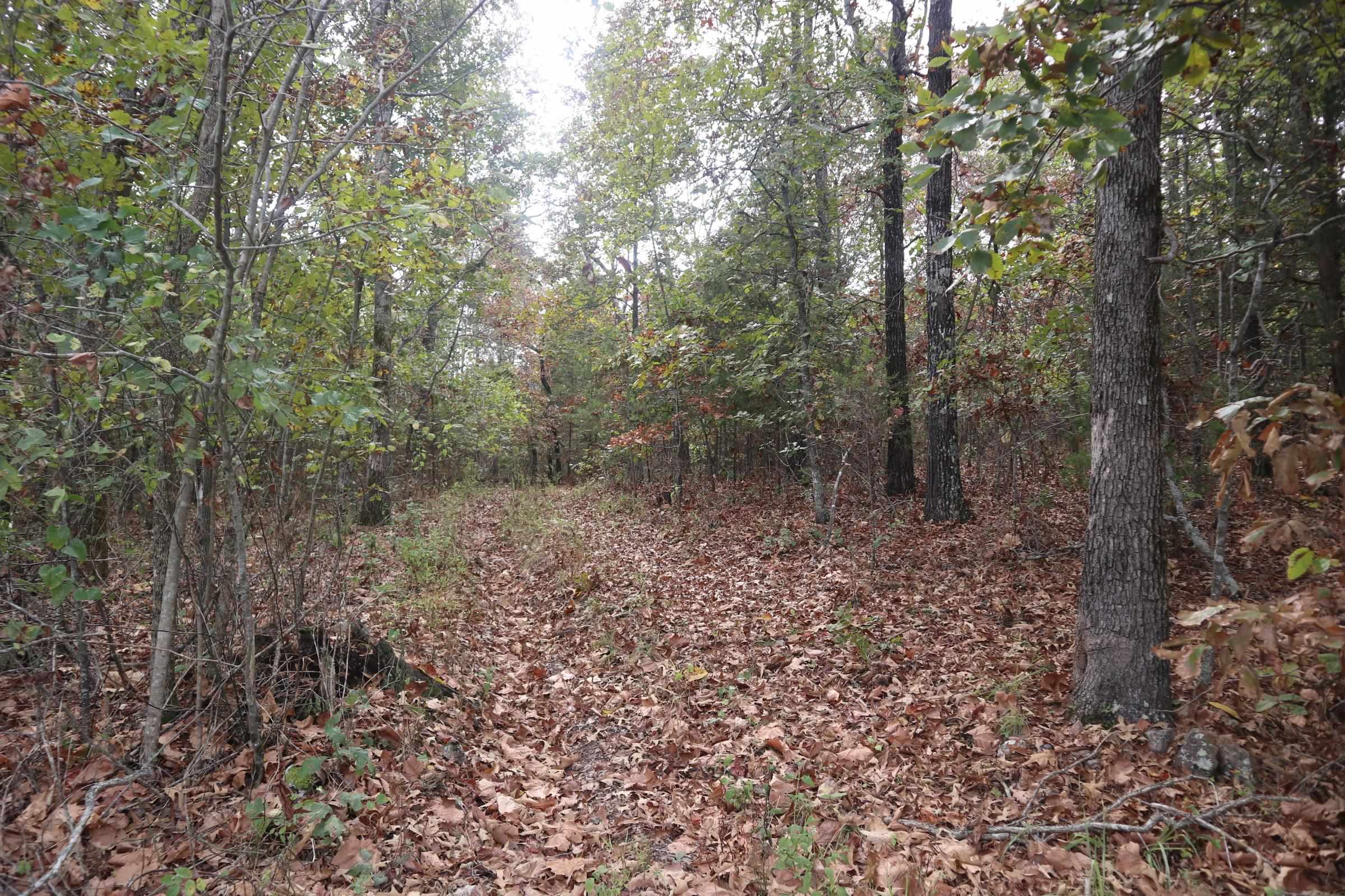 253 Coyote Rd  Salem, AR