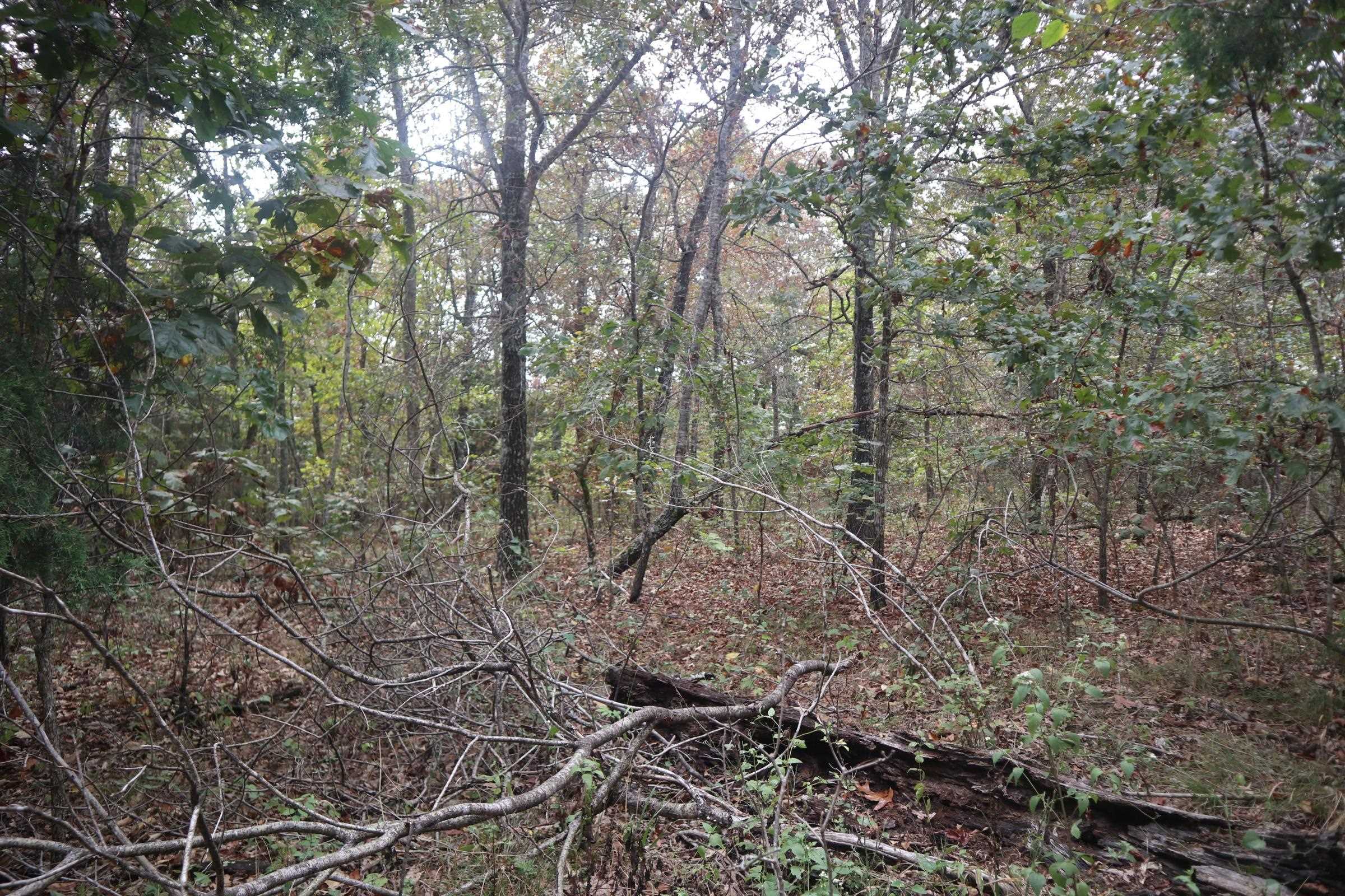 253 Coyote Rd  Salem, AR