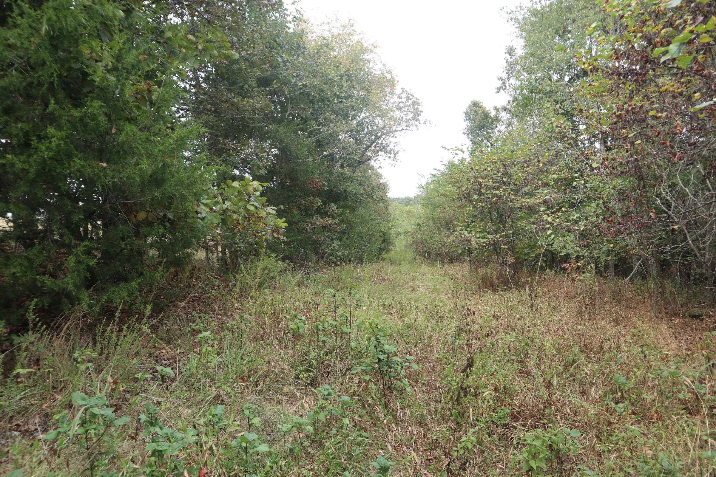 253 Coyote Rd  Salem, AR