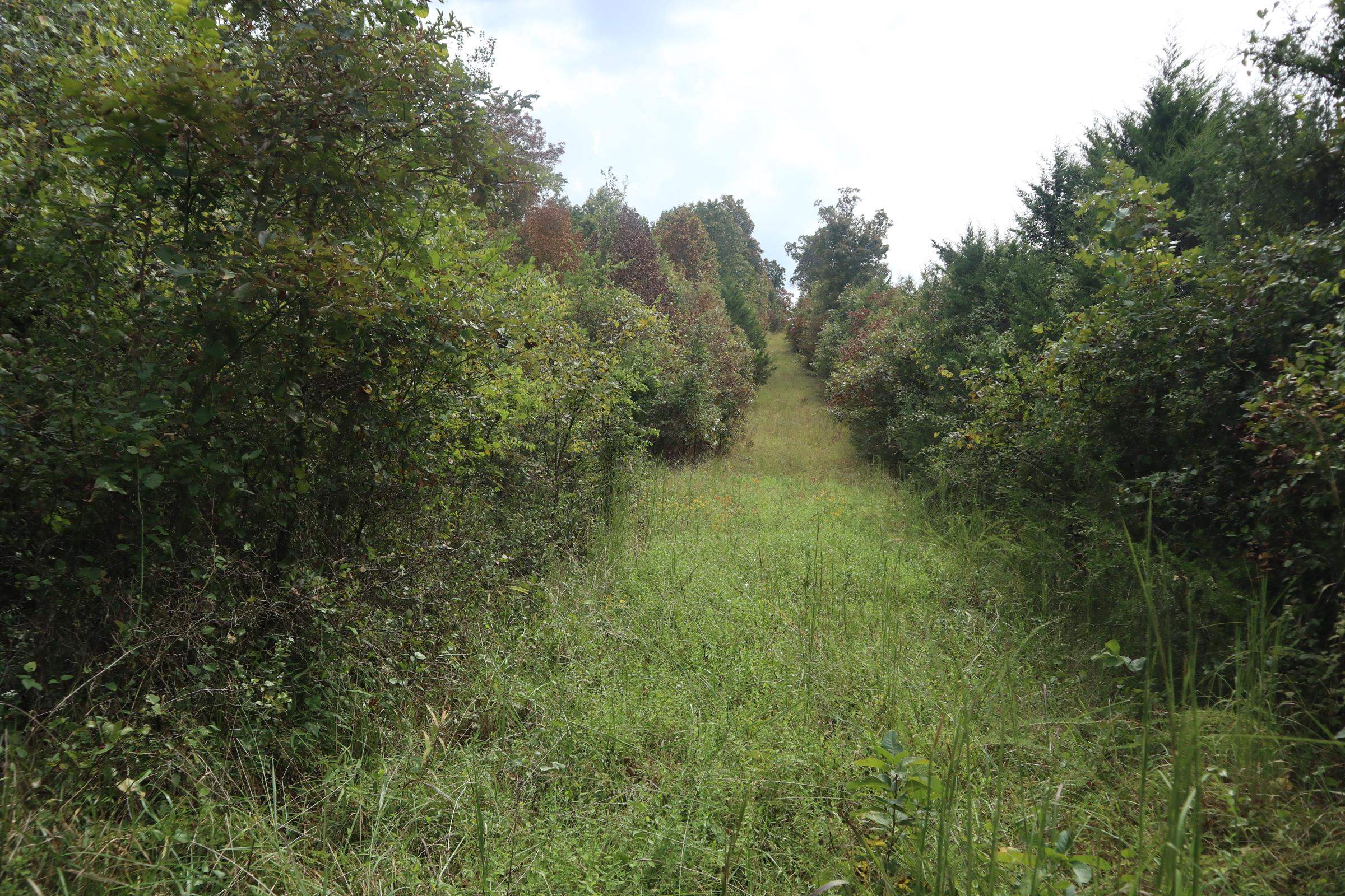 253 Coyote Rd  Salem, AR