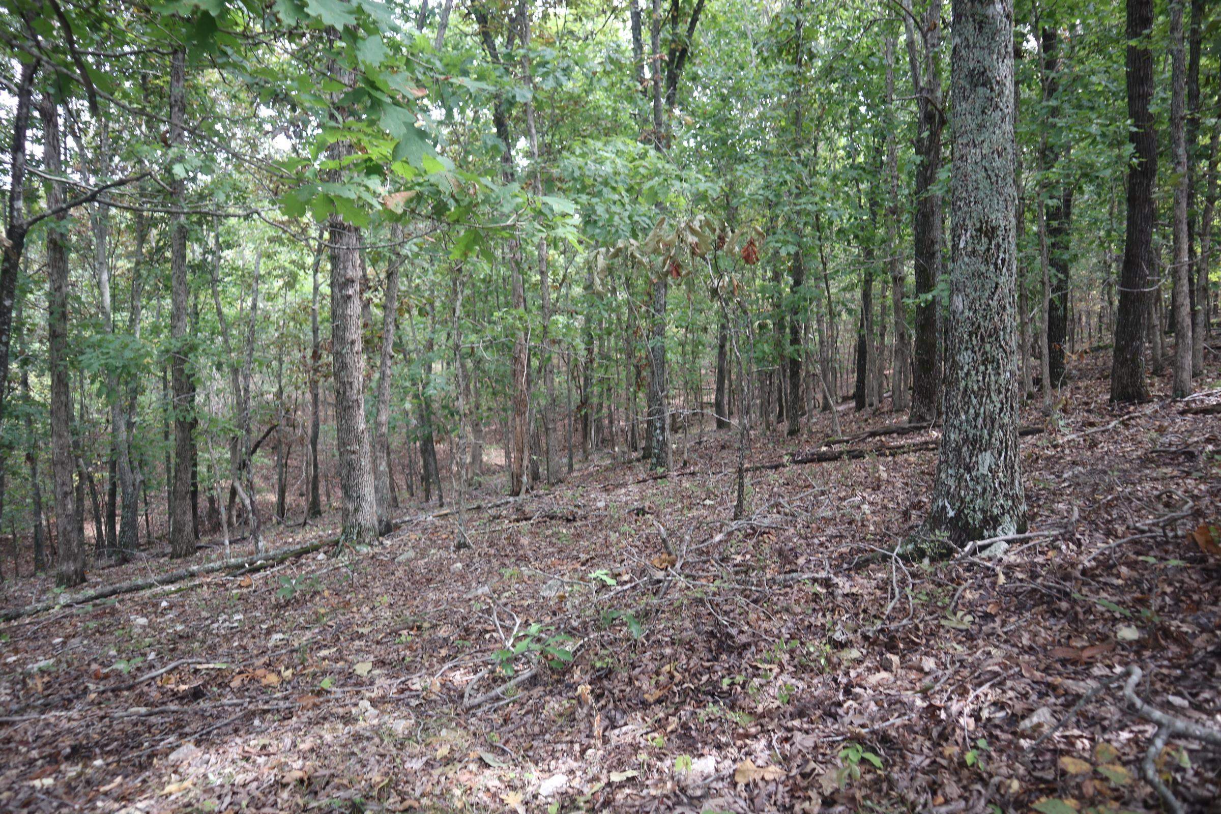 253 Coyote Rd  Salem, AR