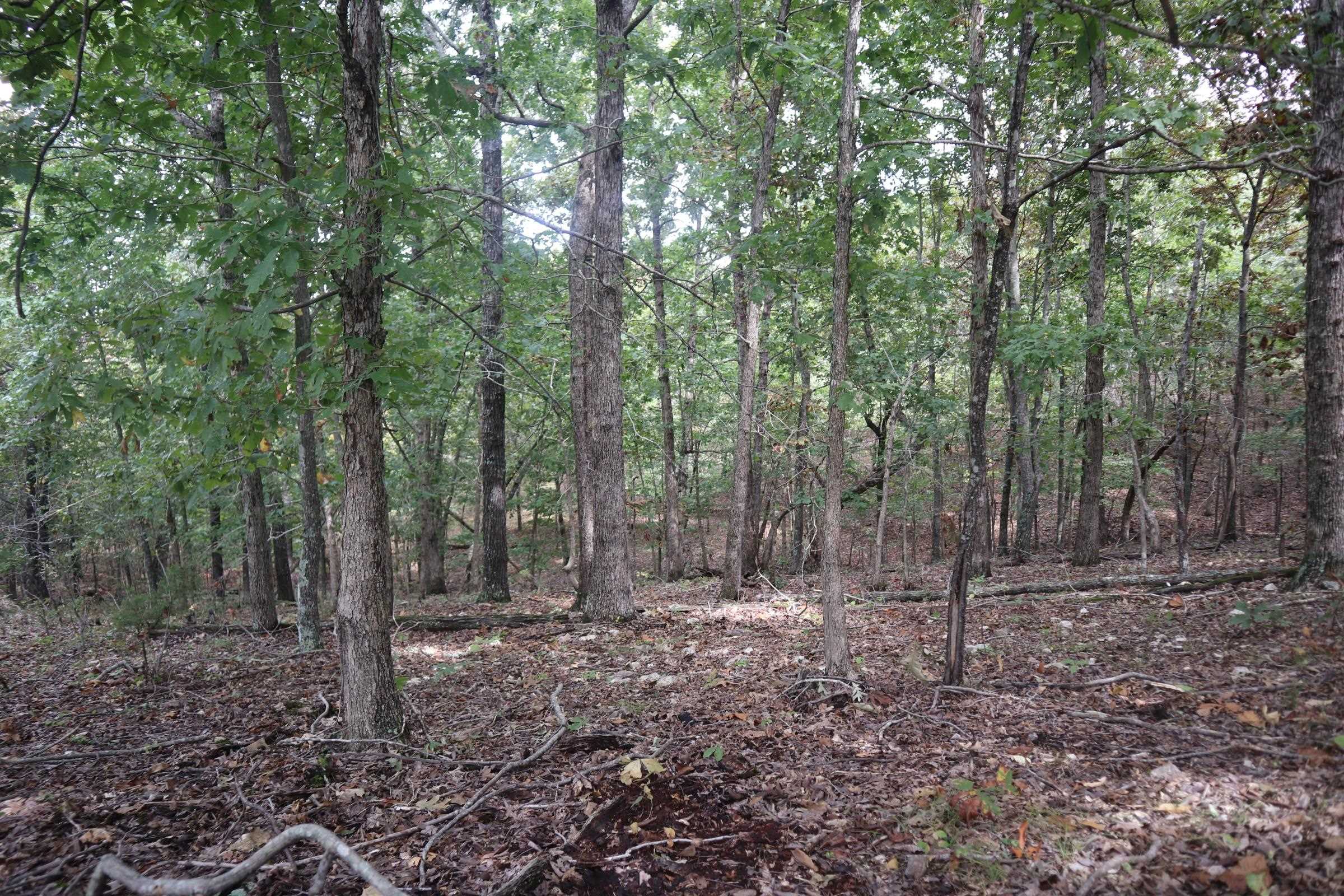 253 Coyote Rd  Salem, AR