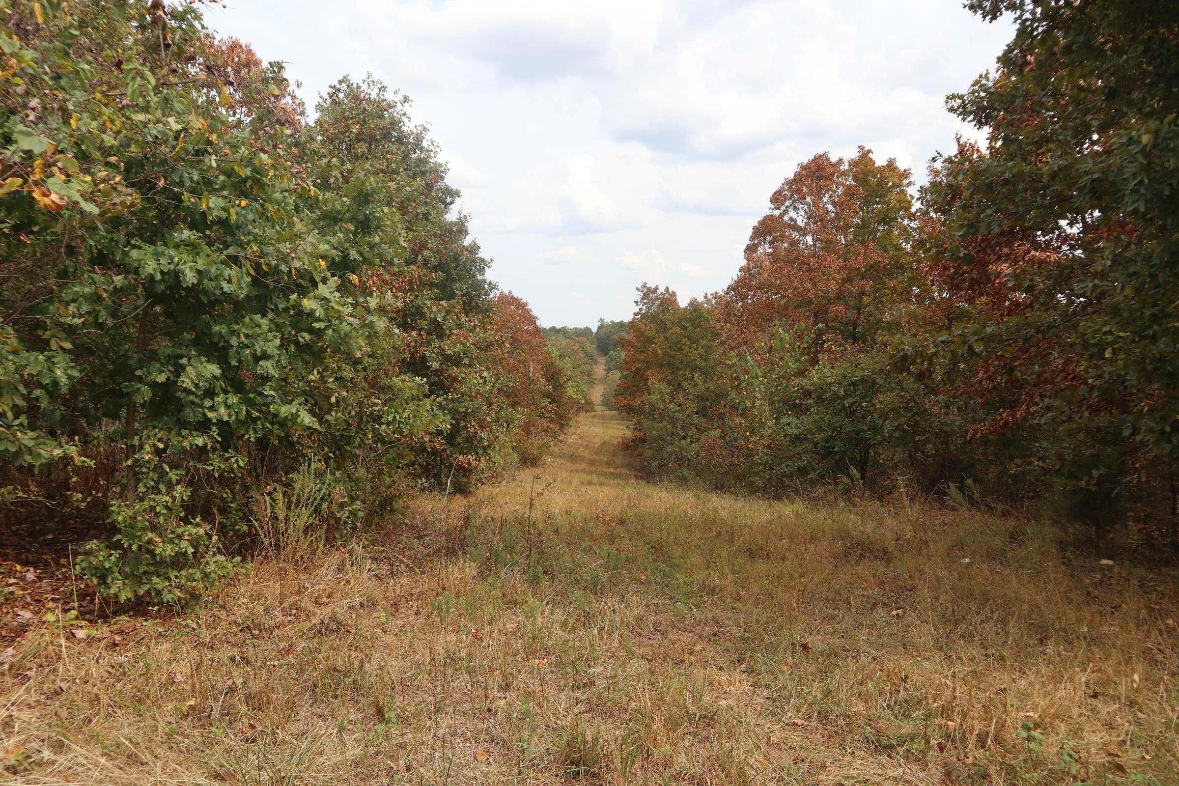 253 Coyote Rd  Salem, AR