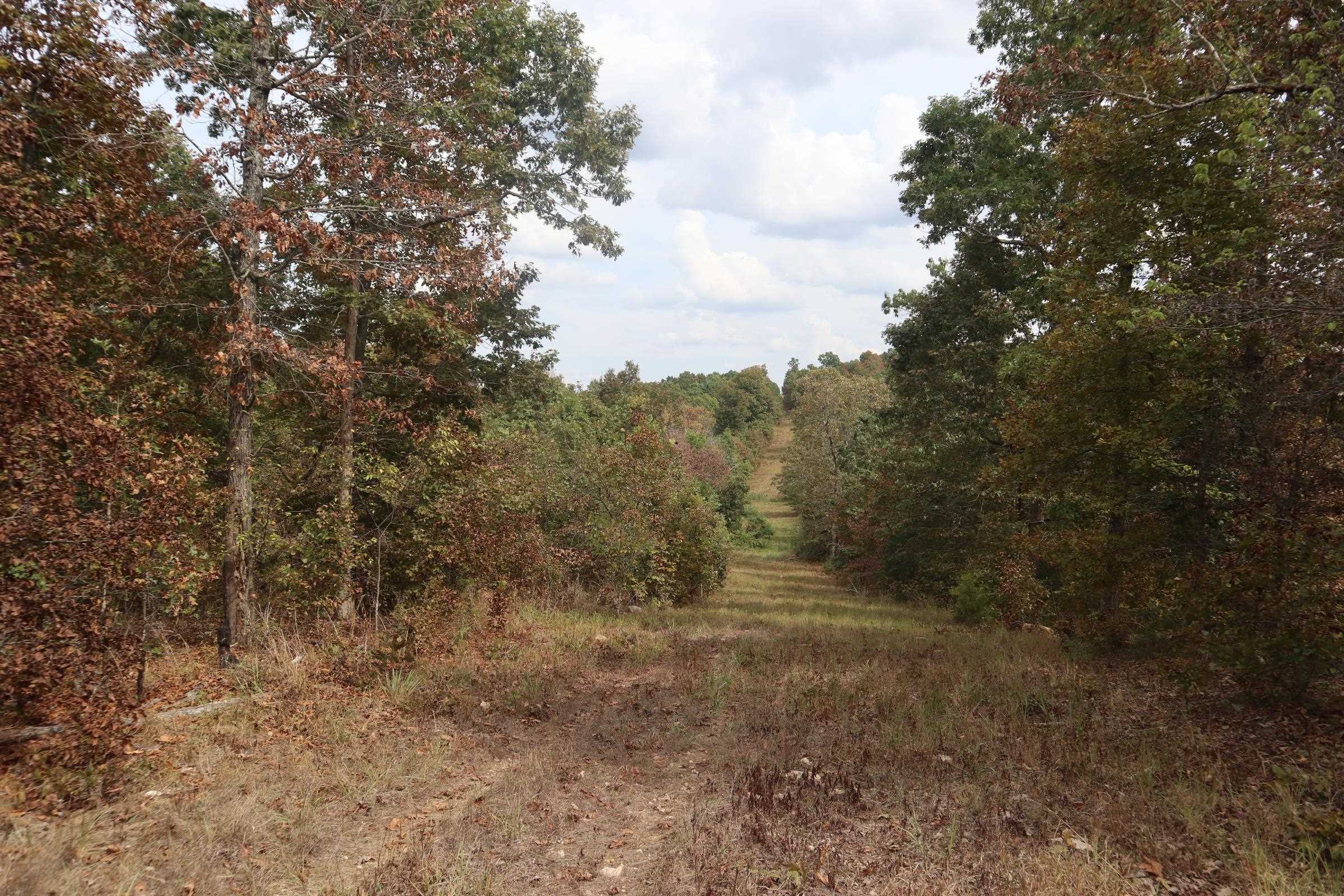 253 Coyote Rd  Salem, AR