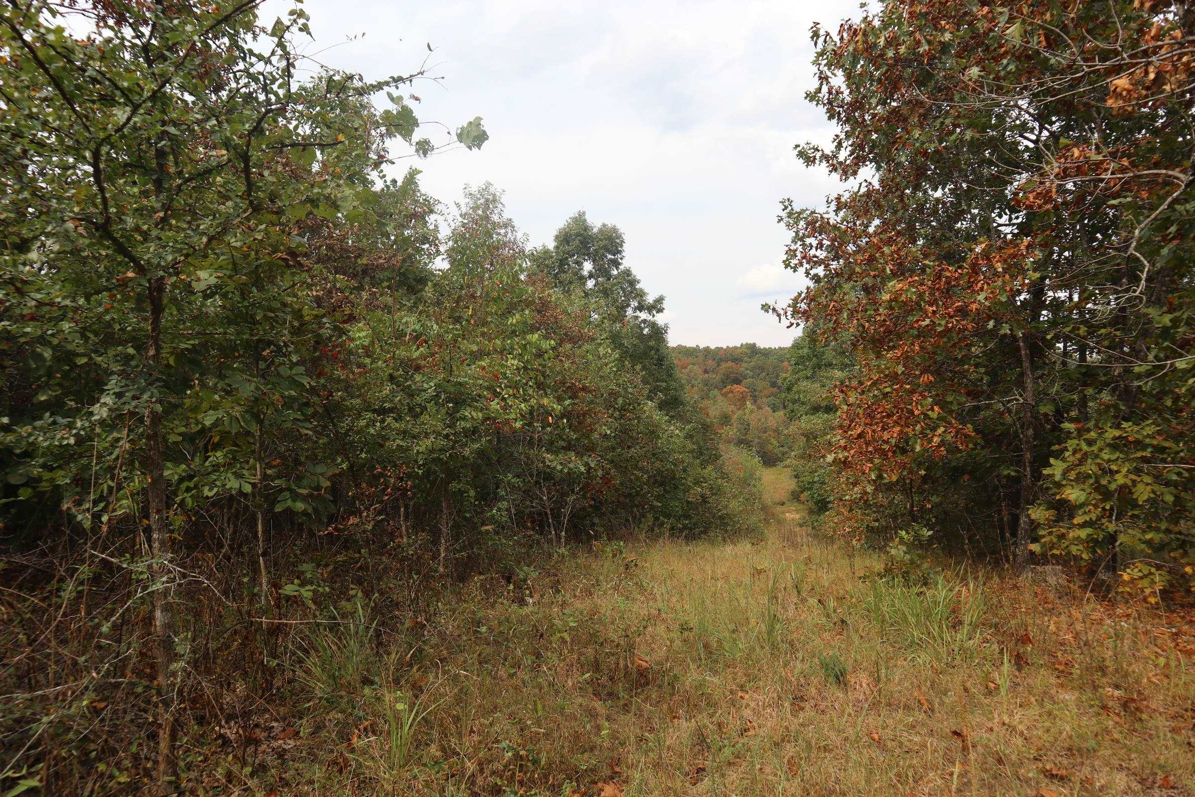 253 Coyote Rd  Salem, AR