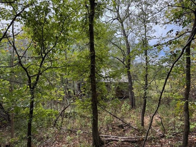 253 Coyote Rd  Salem, AR