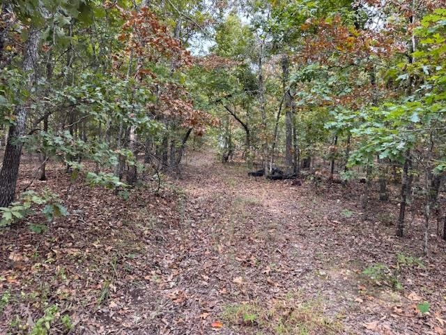 253 Coyote Rd  Salem, AR